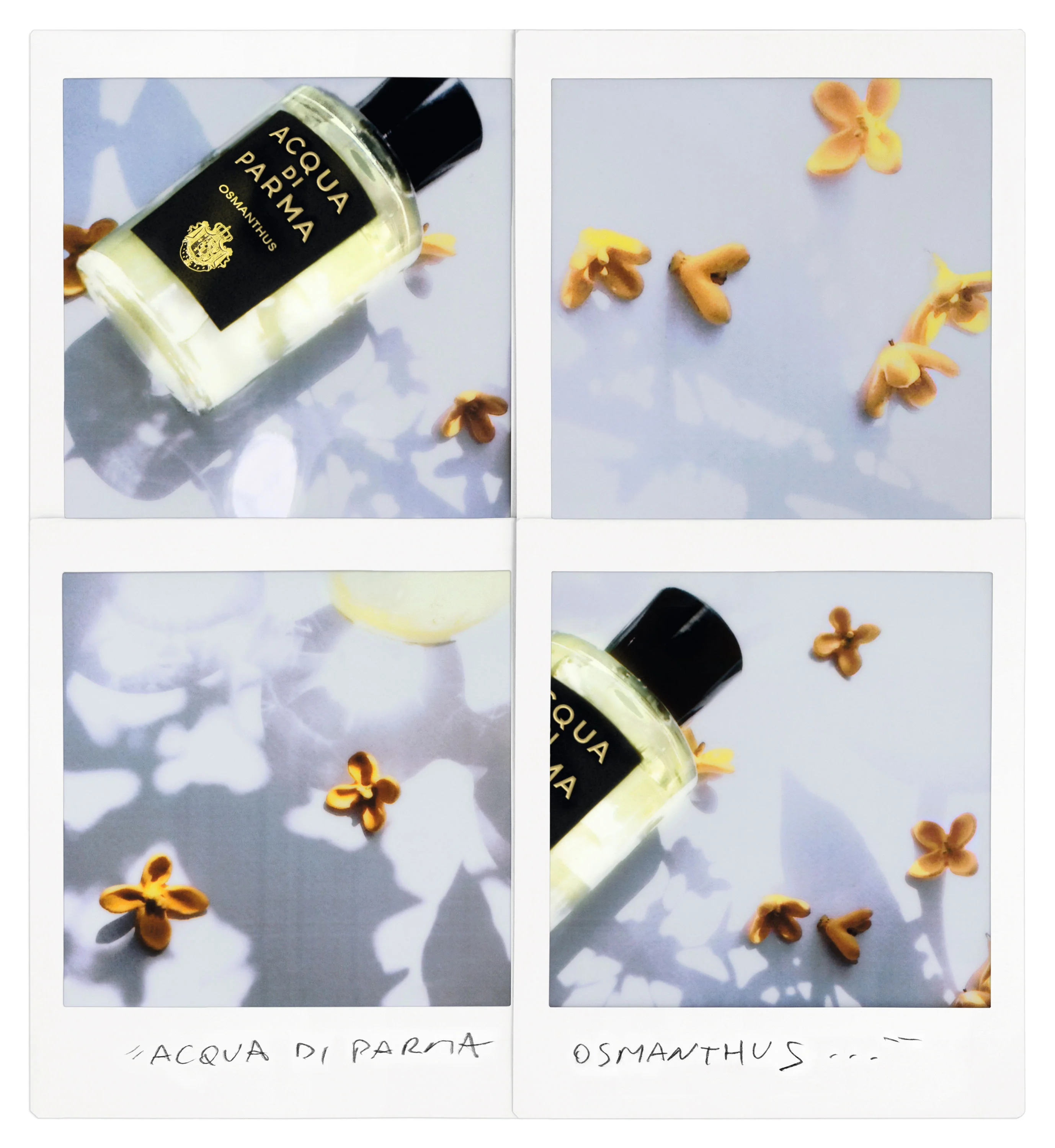 Osmanthus Eau de Parfum - Image 3