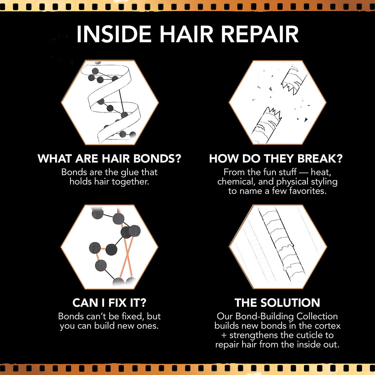 Bond-Building Repair Shampoo - Image 6