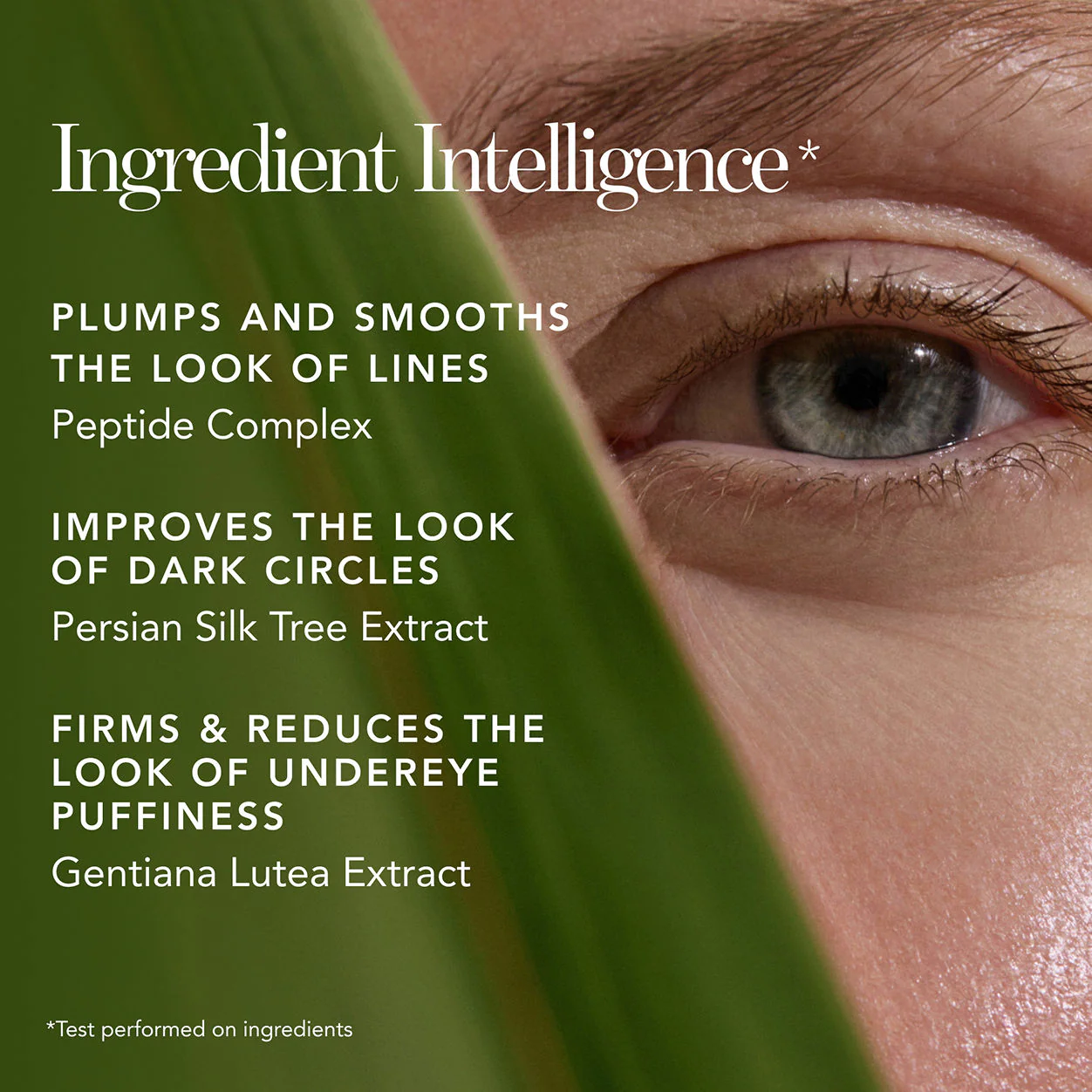 Bio Lifting Hydrating Brightening Concealer with Smoothing Peptides - Image 45