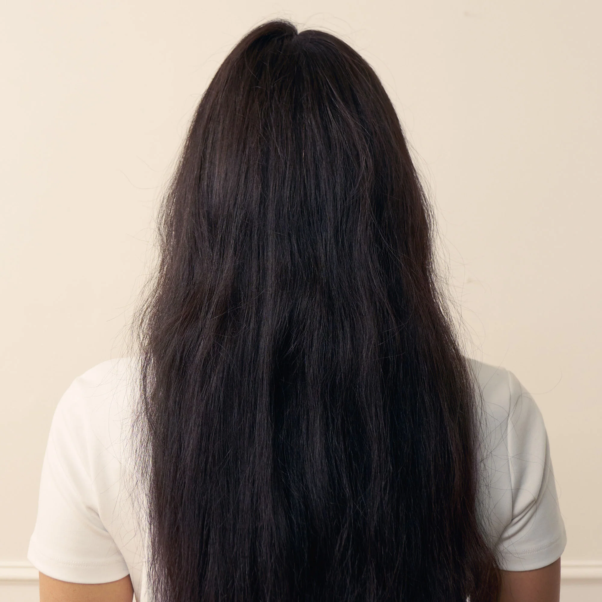 Regenerating Shampoo with Prickly Pear Oil - Image 5