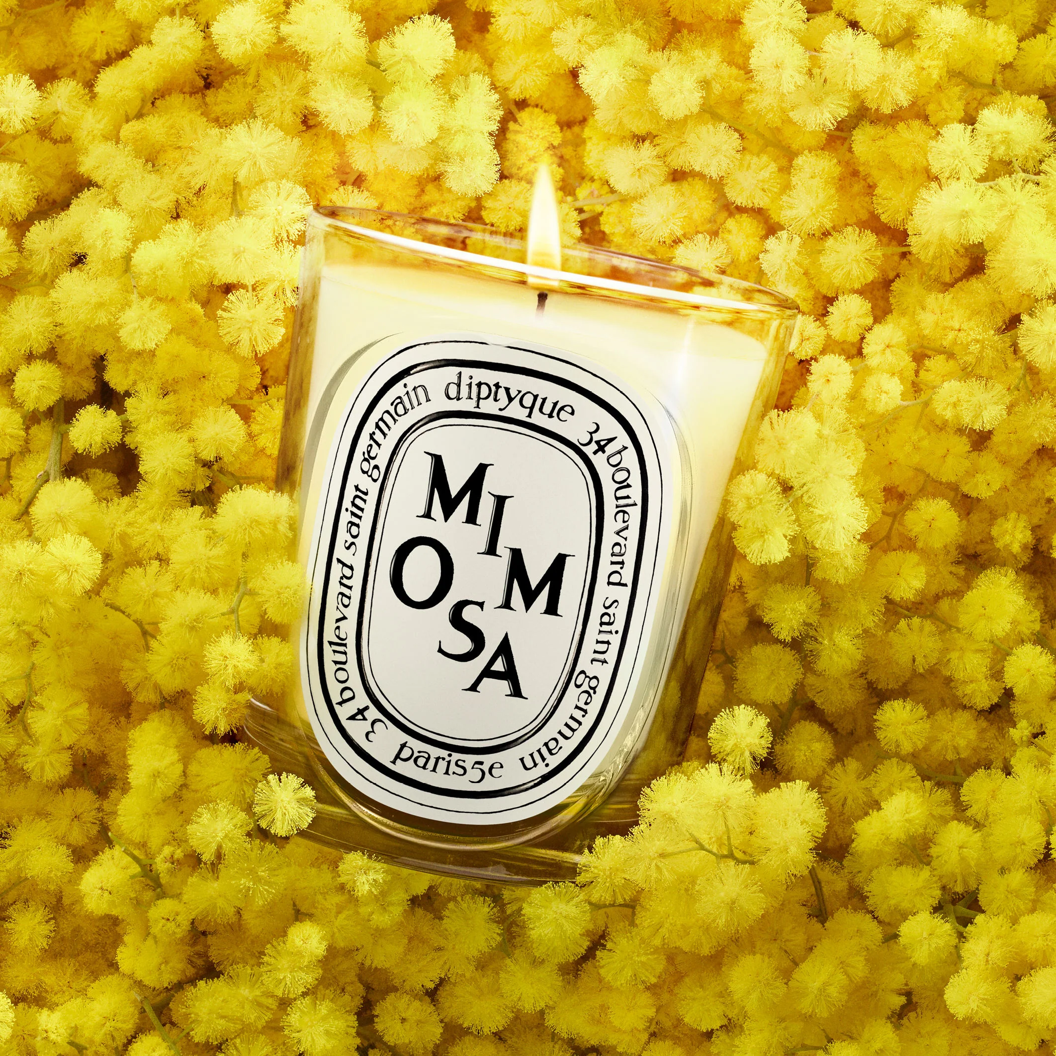 Mimosa Candle - Image 4