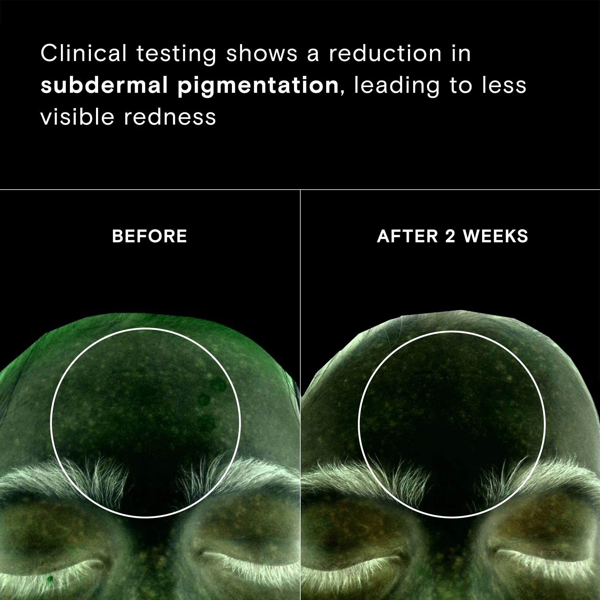 Calm Revival Green Tea Resveratrol Power Serum - Image 5