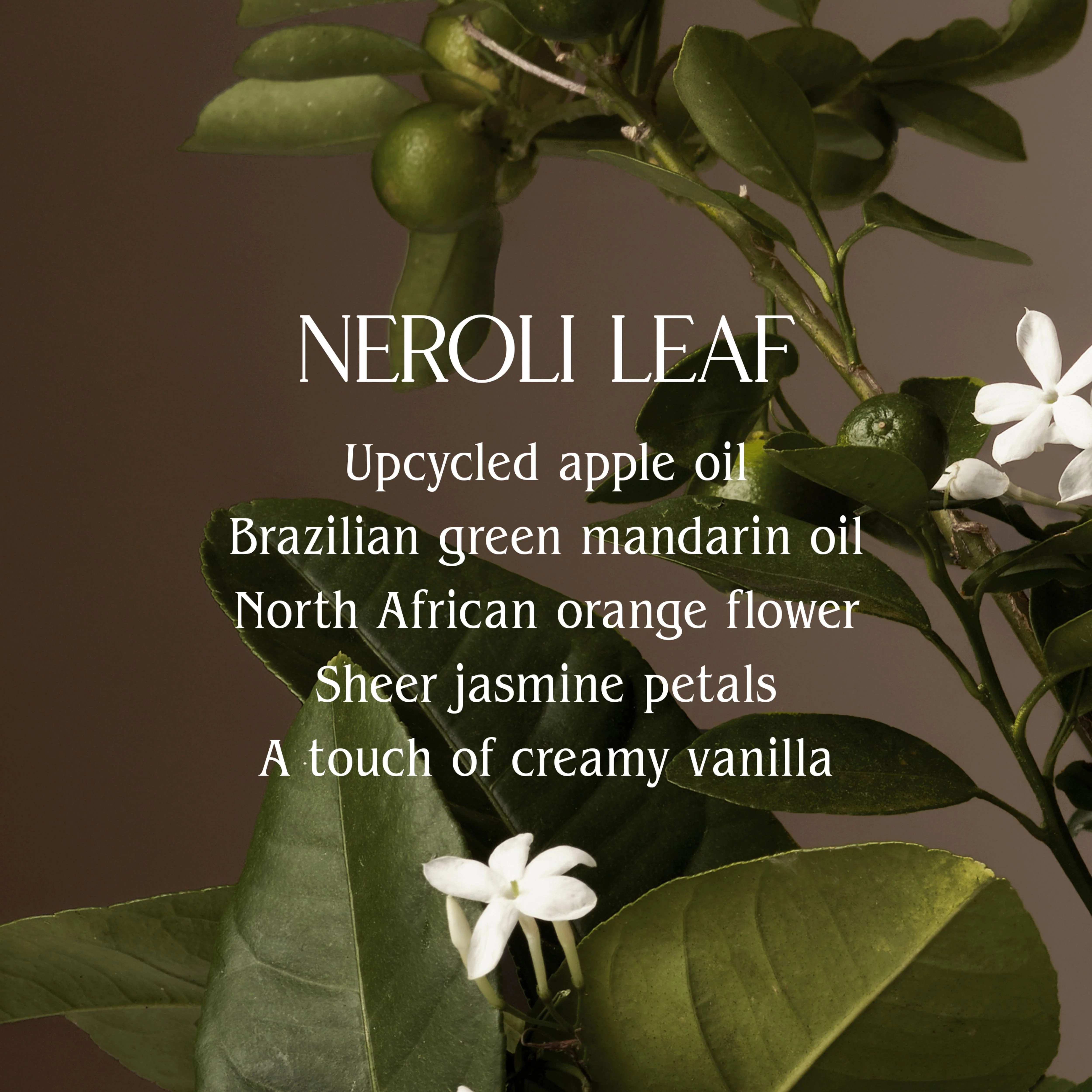 Neroli Leaf Surface Cleaner - Image 2