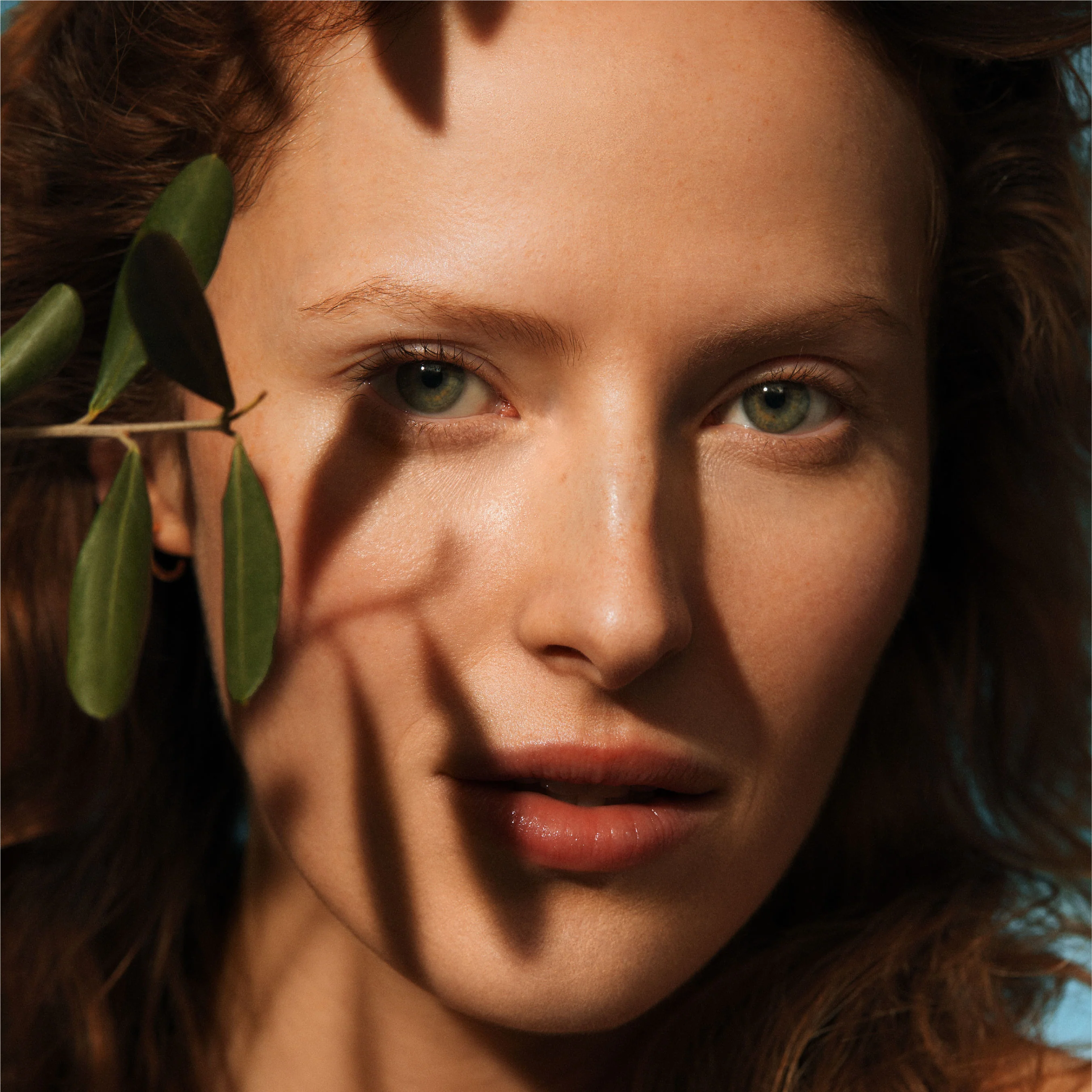 Olive Eye Cream - Image 8