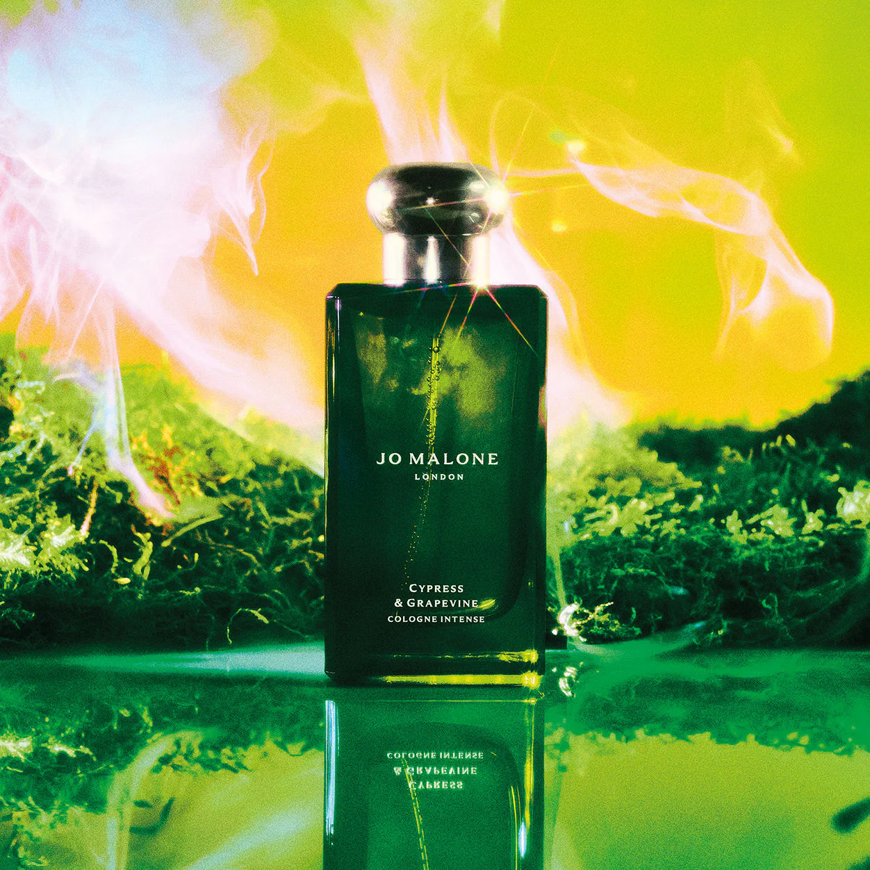 Cypress and Grapevine Cologne Intense - Image 4