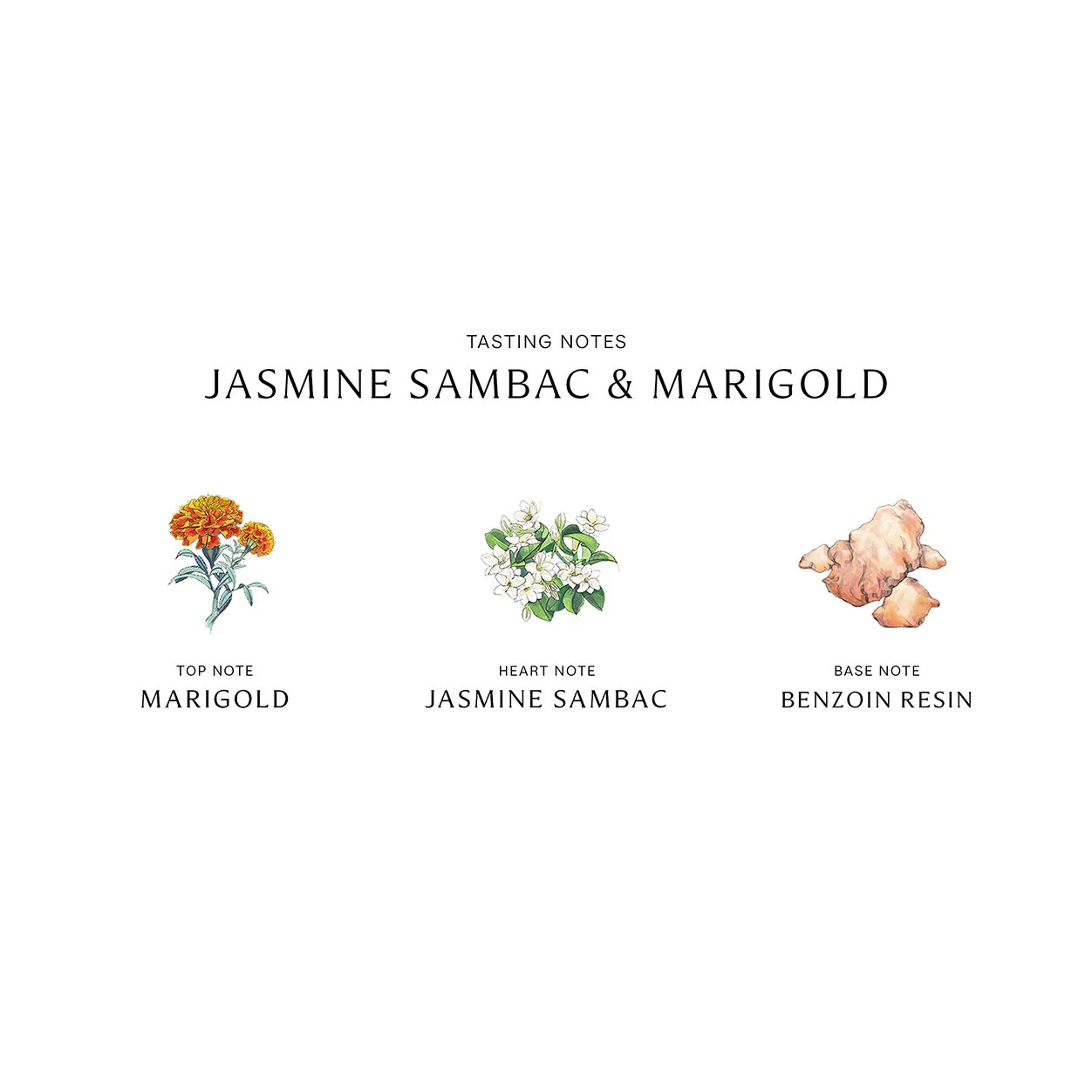 Jasmine Sambac and Marigold Cologne Intense - Image 4