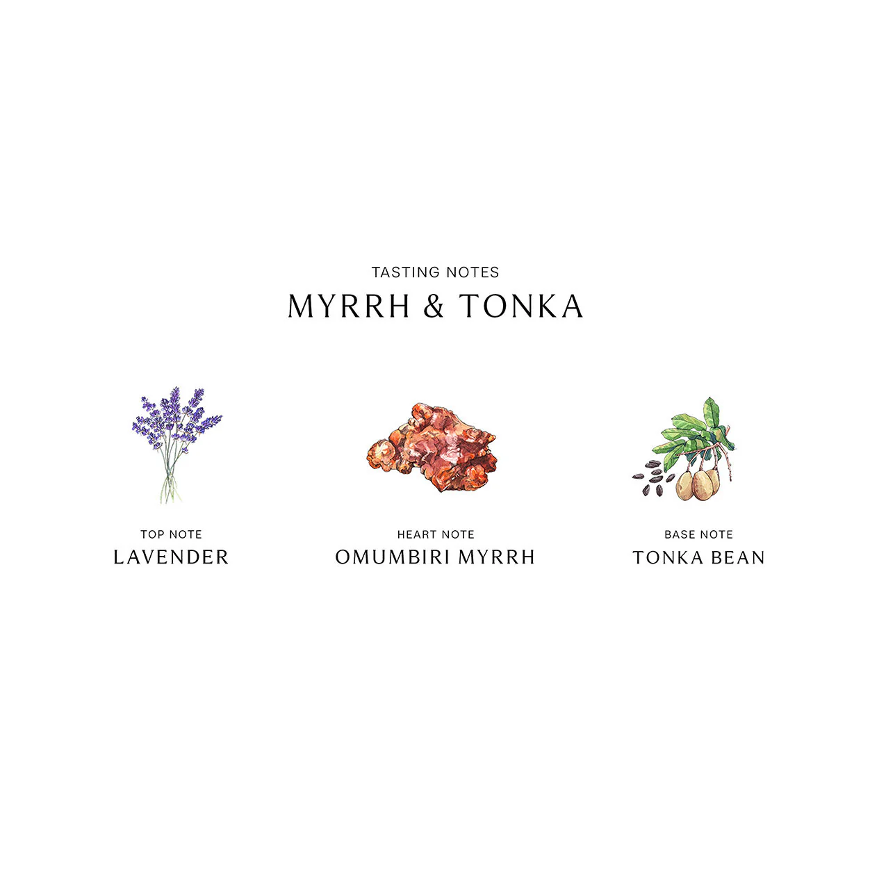 Myrrh and Tonka Diffuser - Image 3