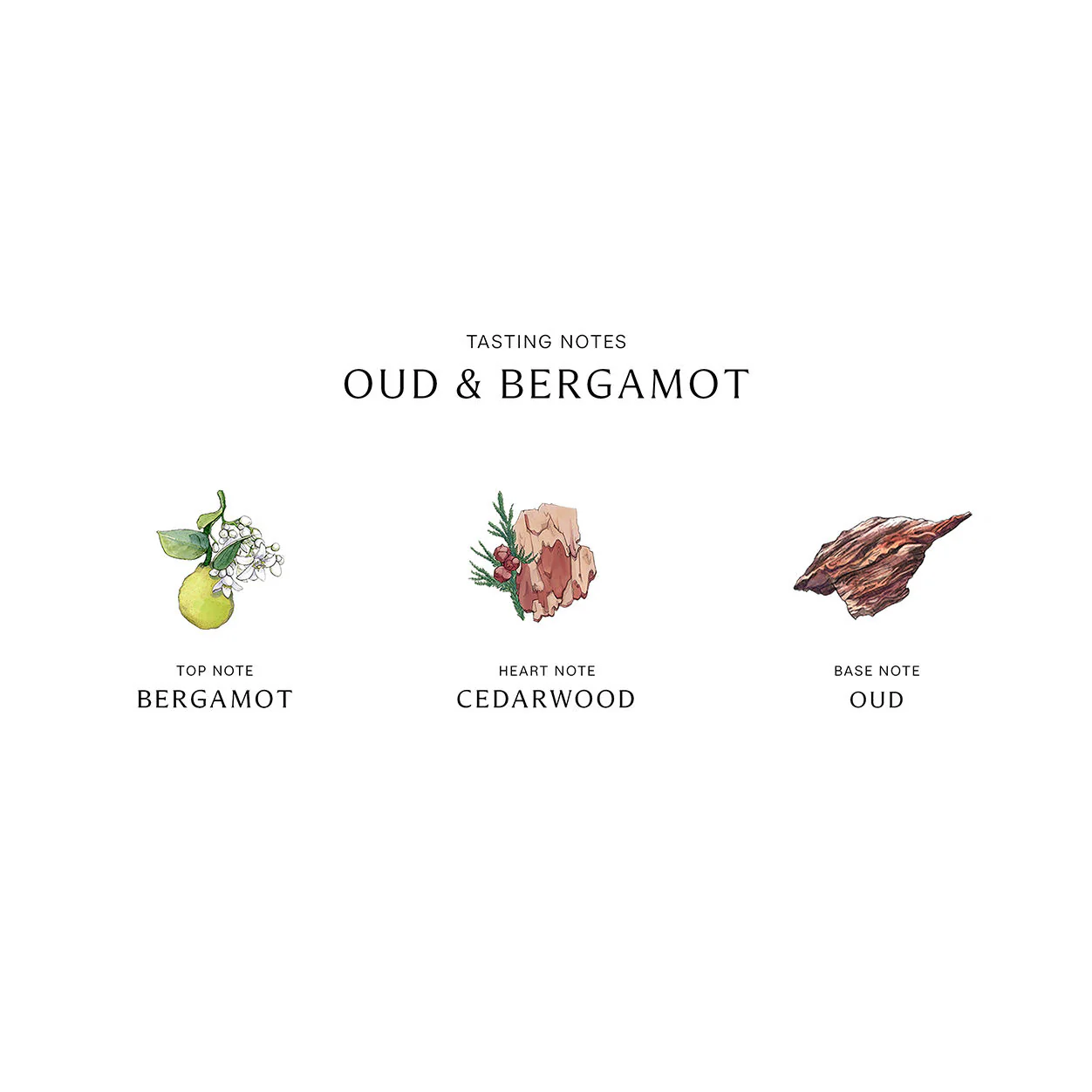 Oud and Bergamot Home Candle - Image 4