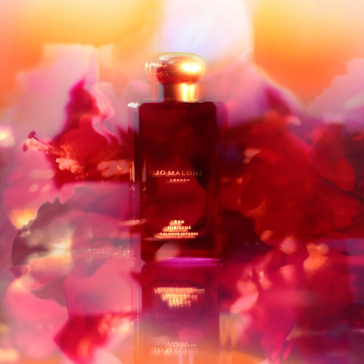 Red Hibiscus Cologne Intense - Image 3