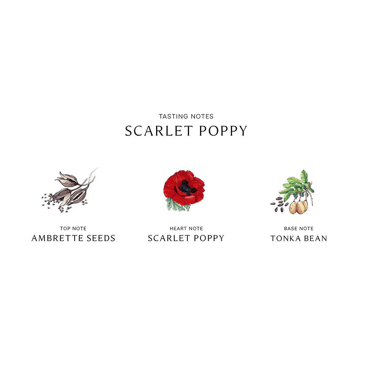 Scarlet Poppy Cologne Intense - Image 4