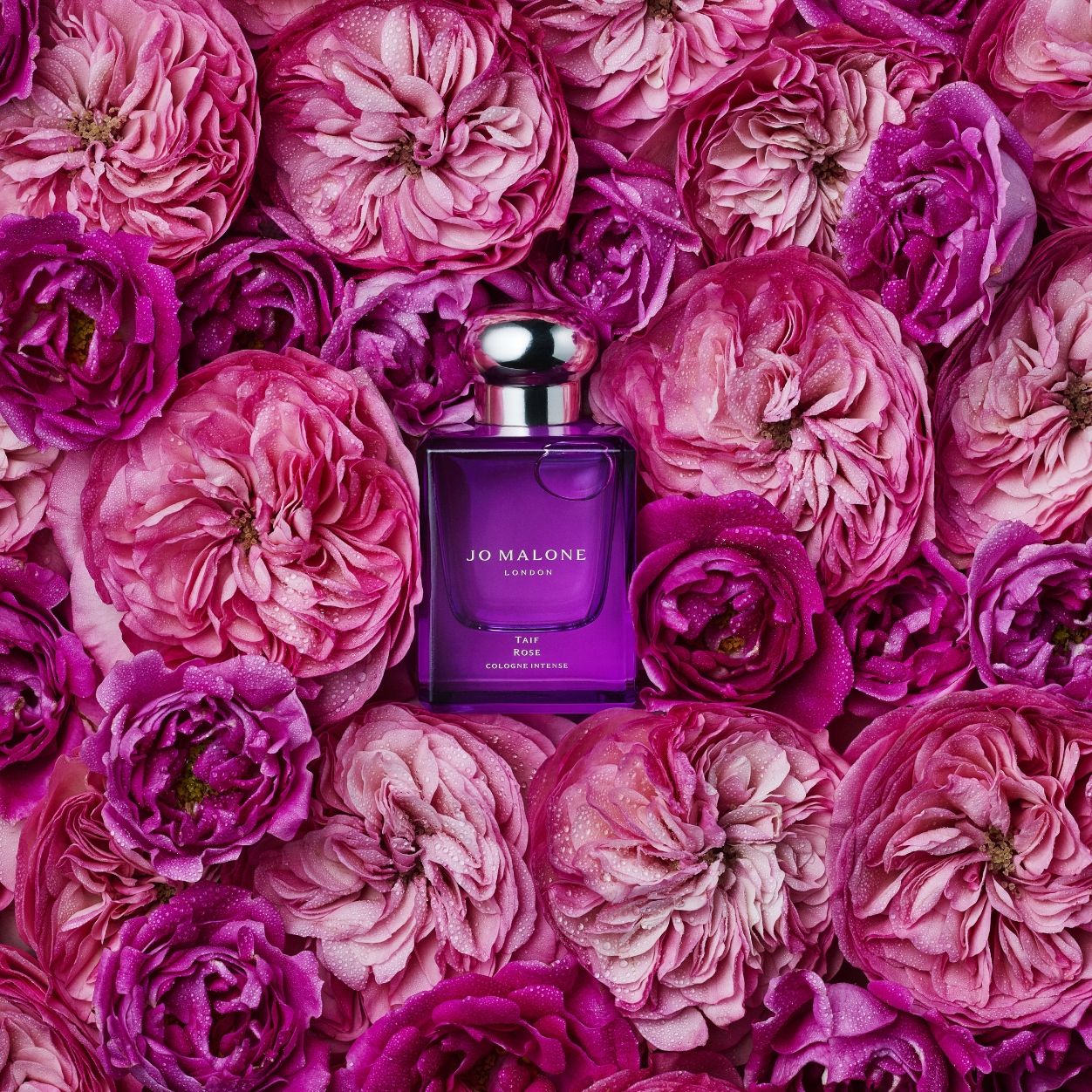 Taif Rose Cologne Intense - Image 6