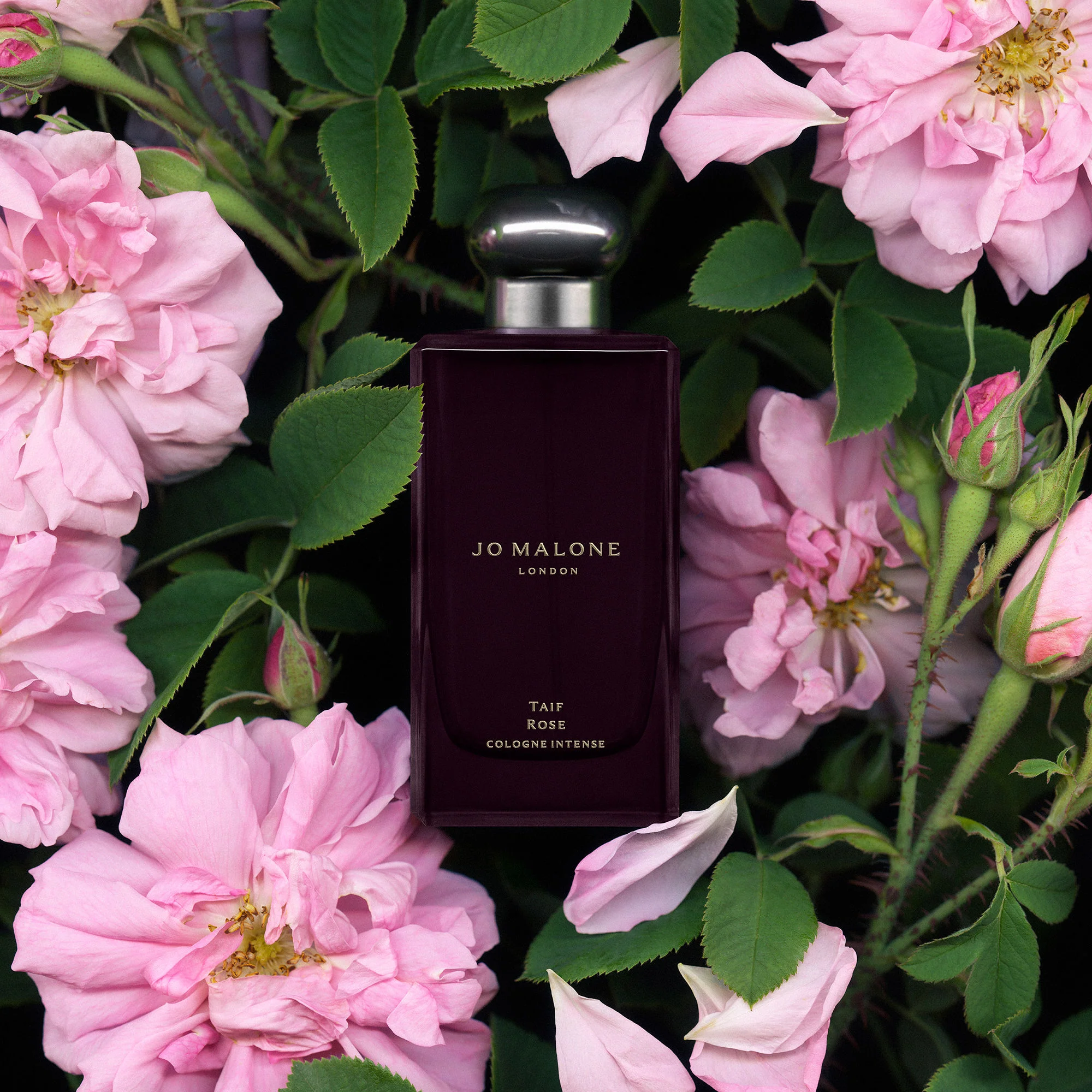 Taif Rose Cologne Intense - Image 9
