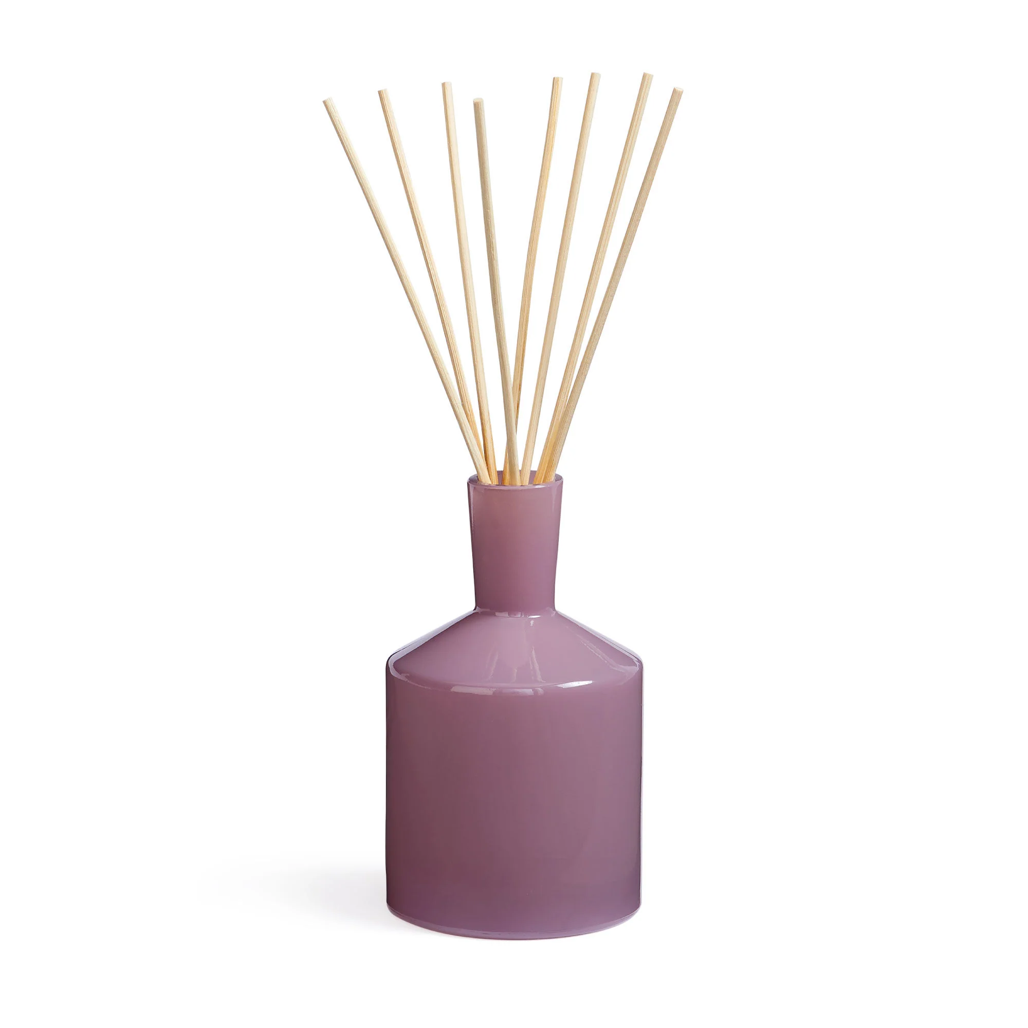 Midnight Cactus Classic Reed Diffuser - Image 2