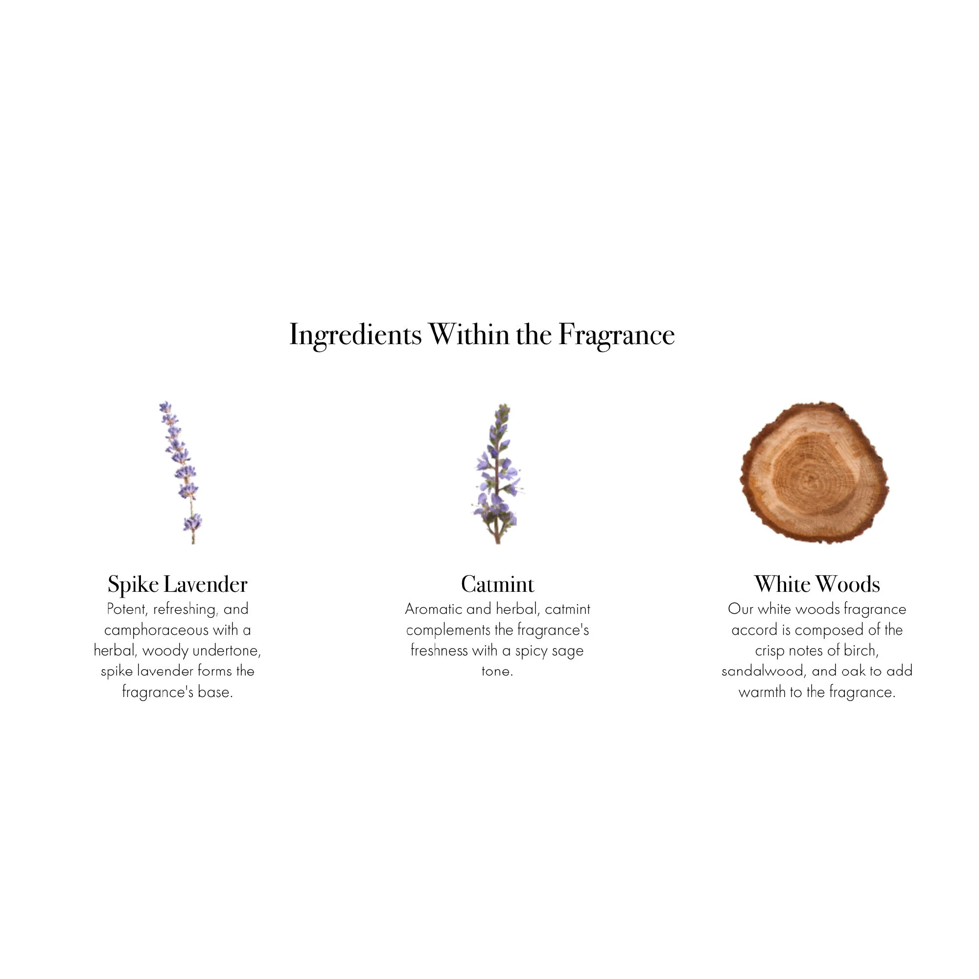Spike Lavender Signature Candle - Image 7
