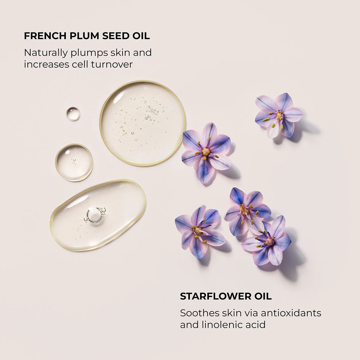 Almond Coconut Aromatic Bath and Body Oil - Image 4