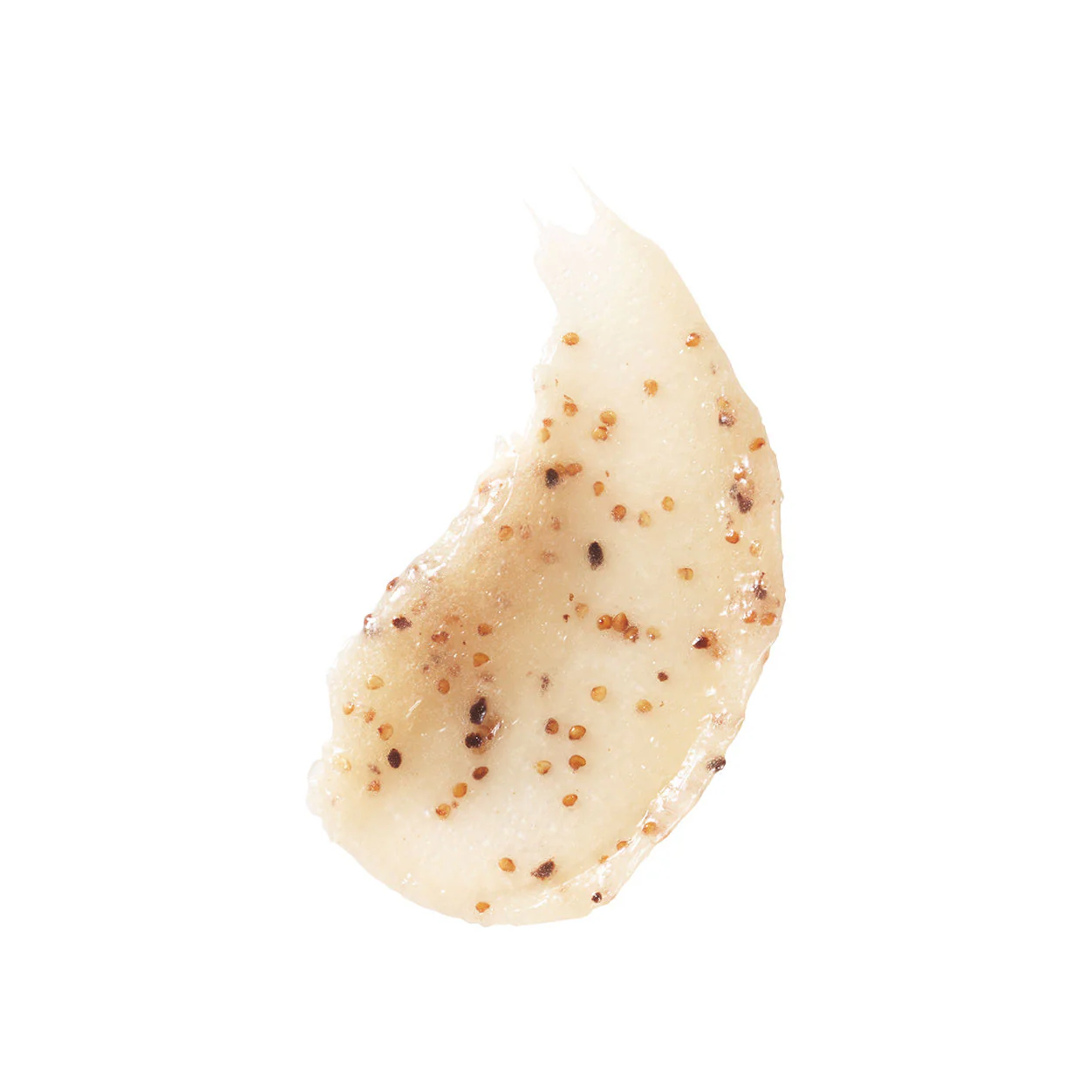 Almond Coconut Exfoliating Body Wash - Image 2