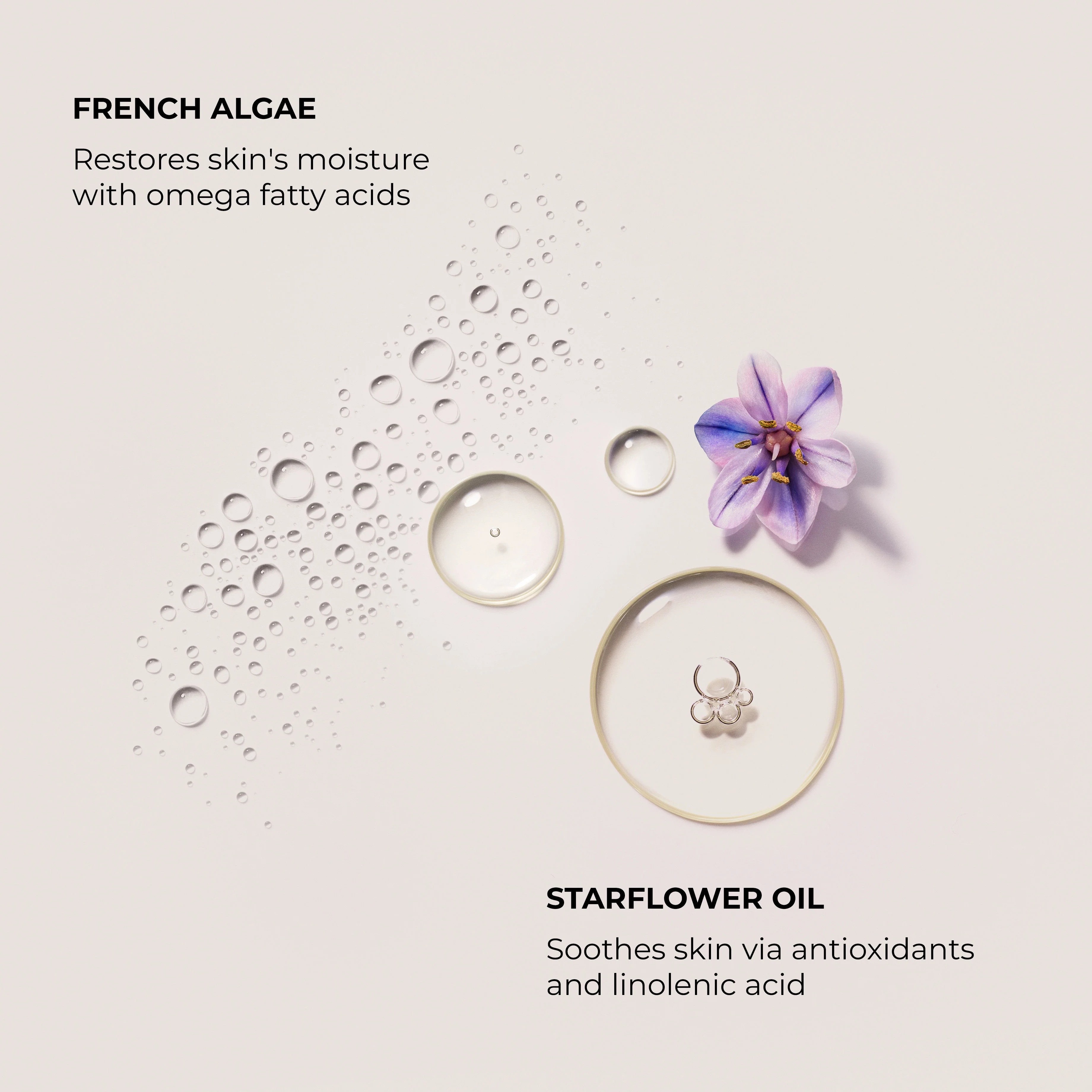 Almond Coconut Soufflé Hand Cream - Image 4