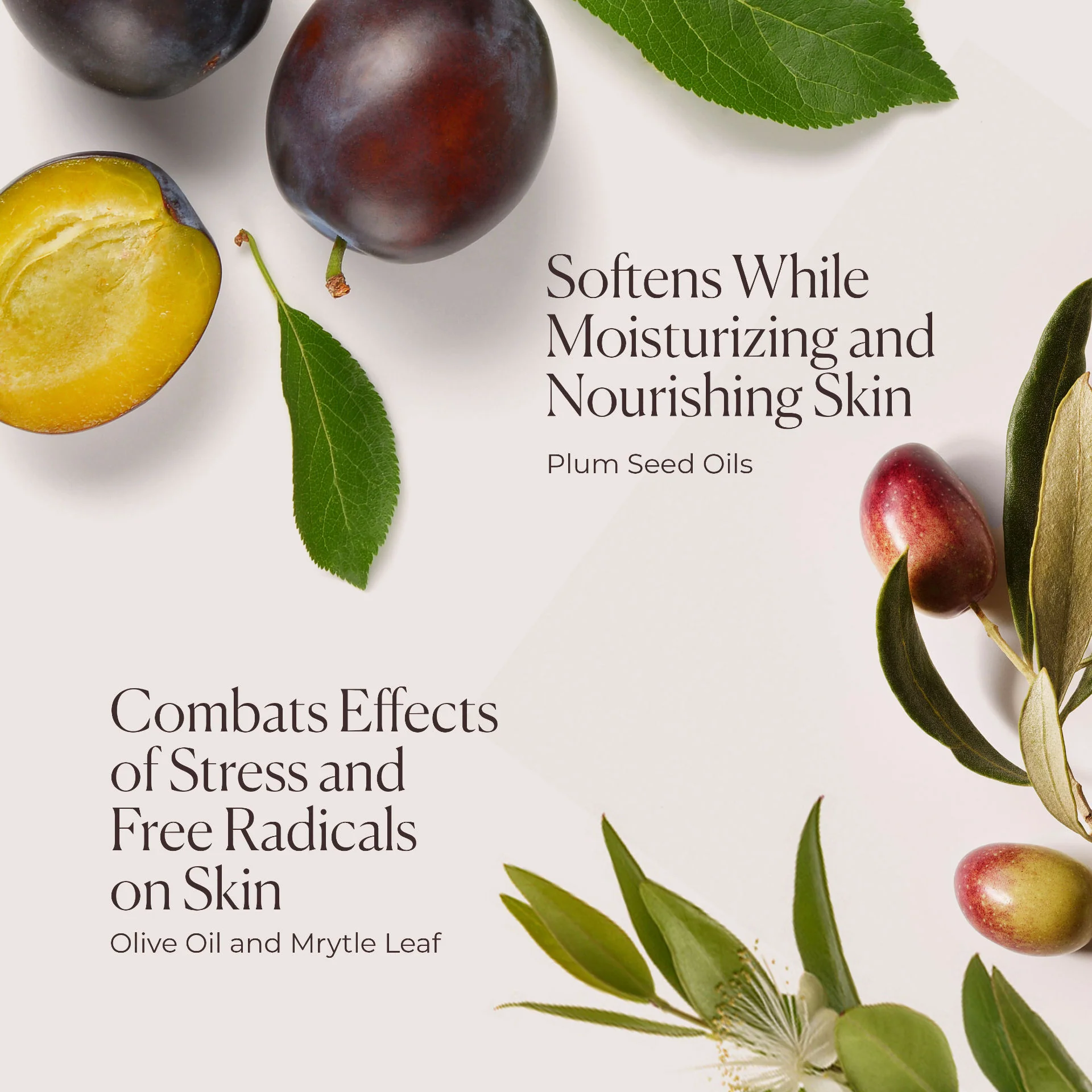 Hydrating Body Wash Almond Coconut - Image 6