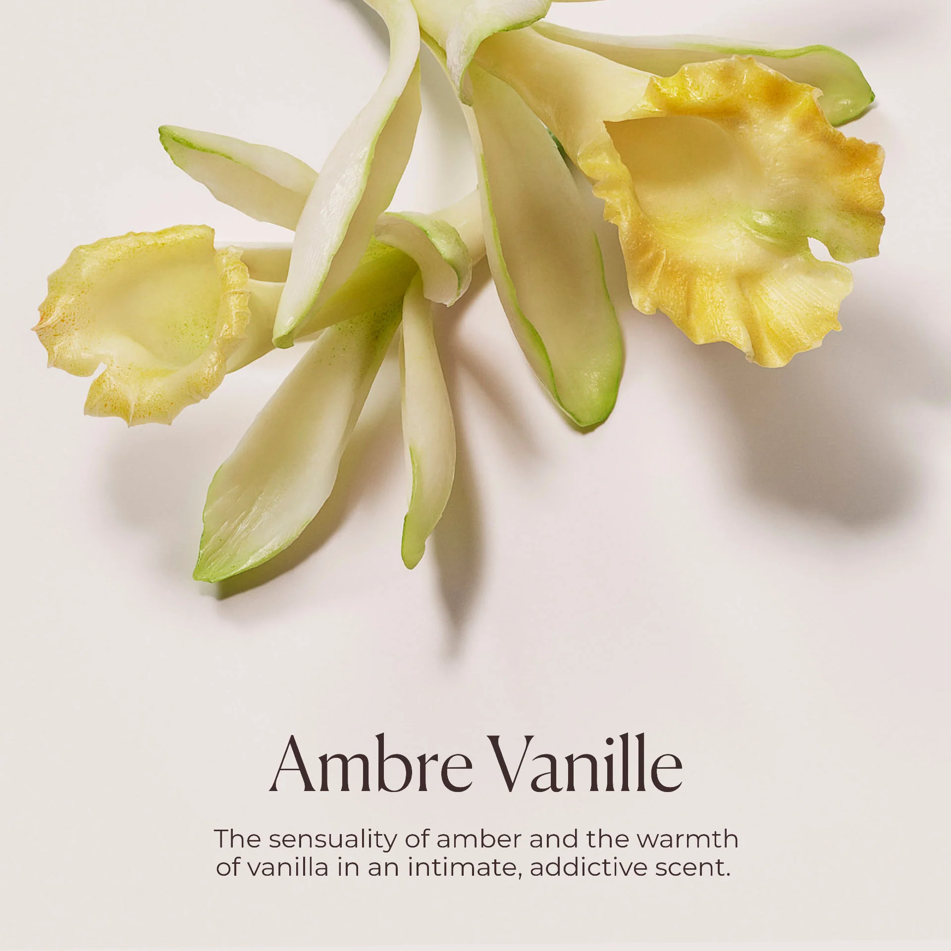 Hydrating Body Wash Almond Coconut - Image 7