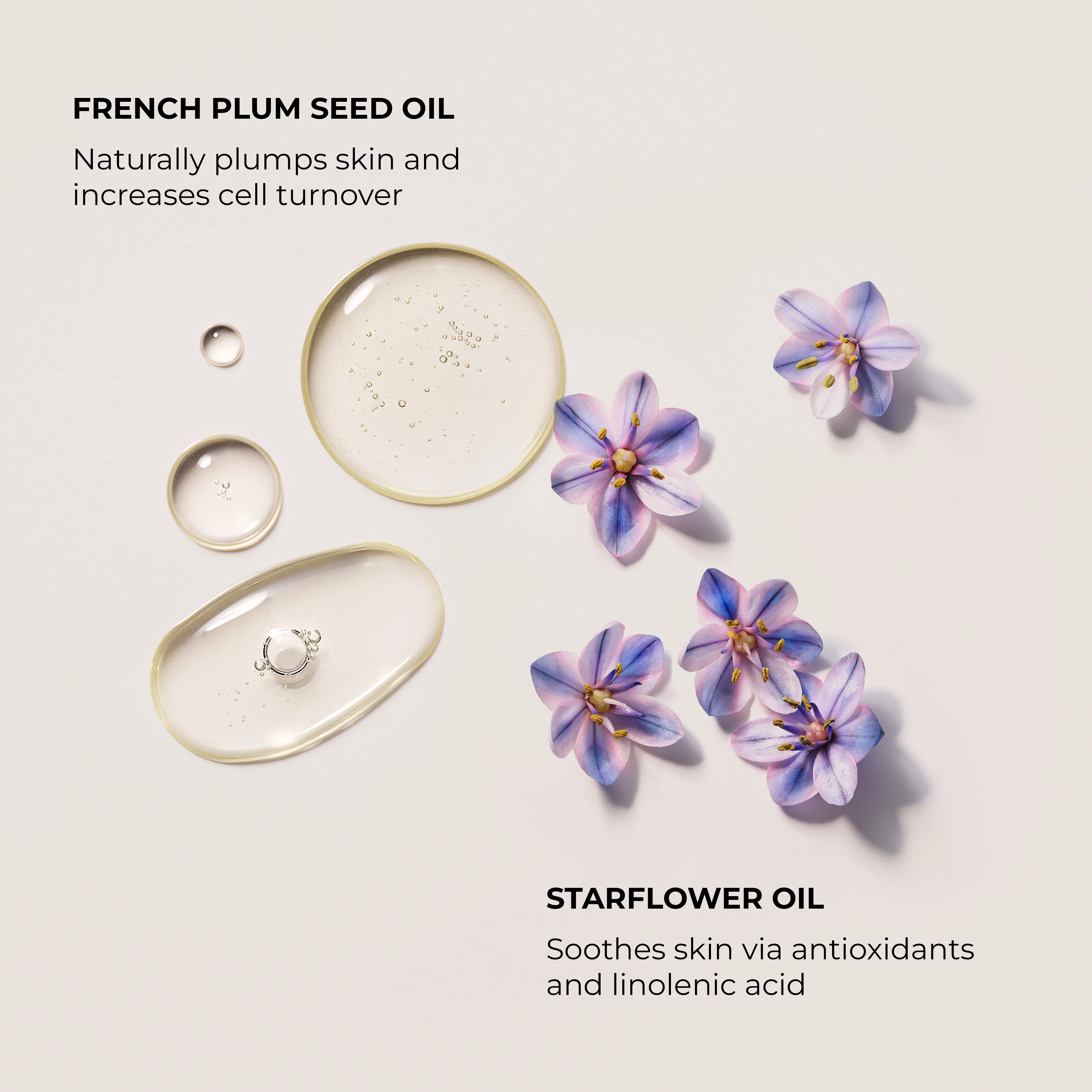Néroli du Sud Aromatic Bath and Body Oil - Image 4