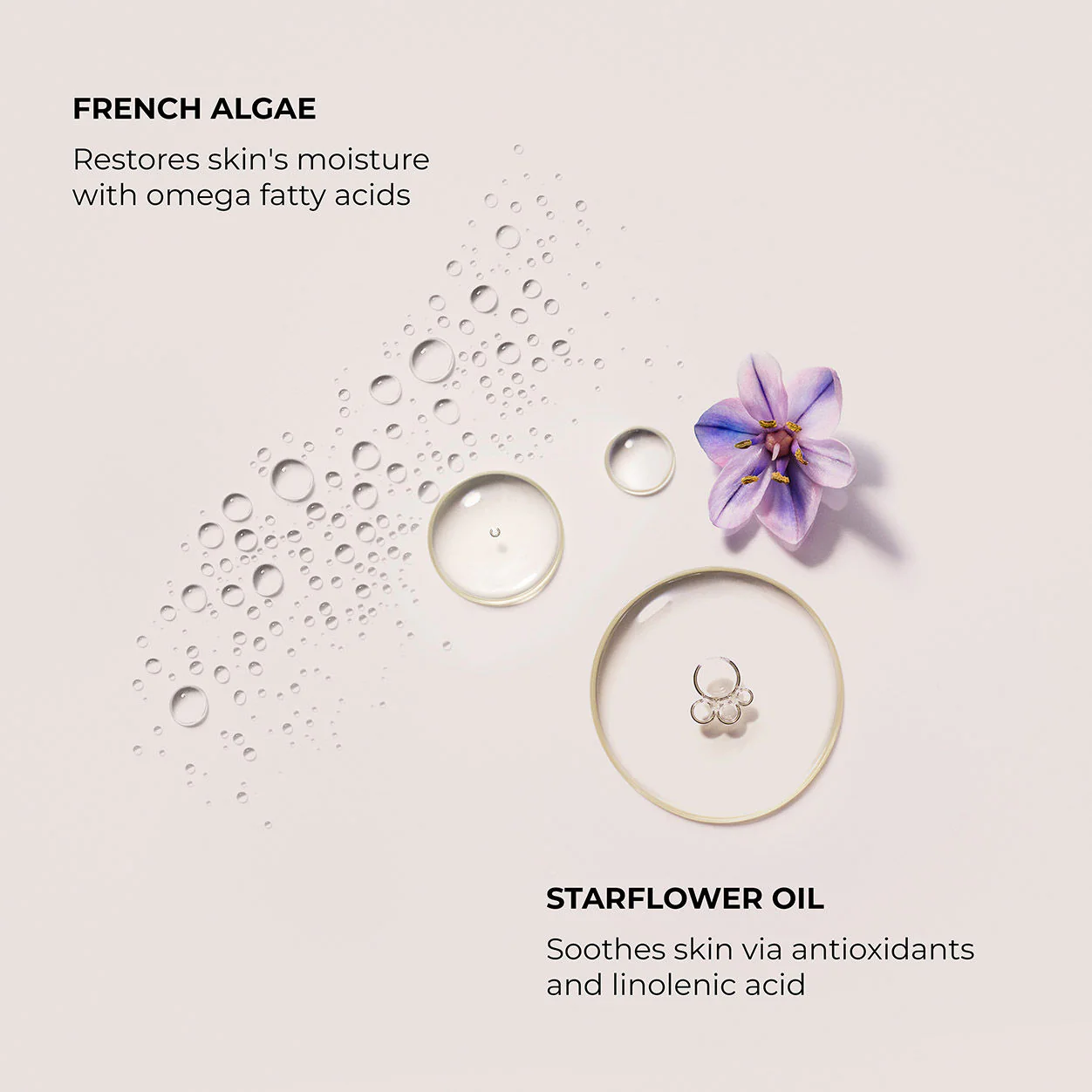 Néroli du Sud Serum Body Cream - Image 4