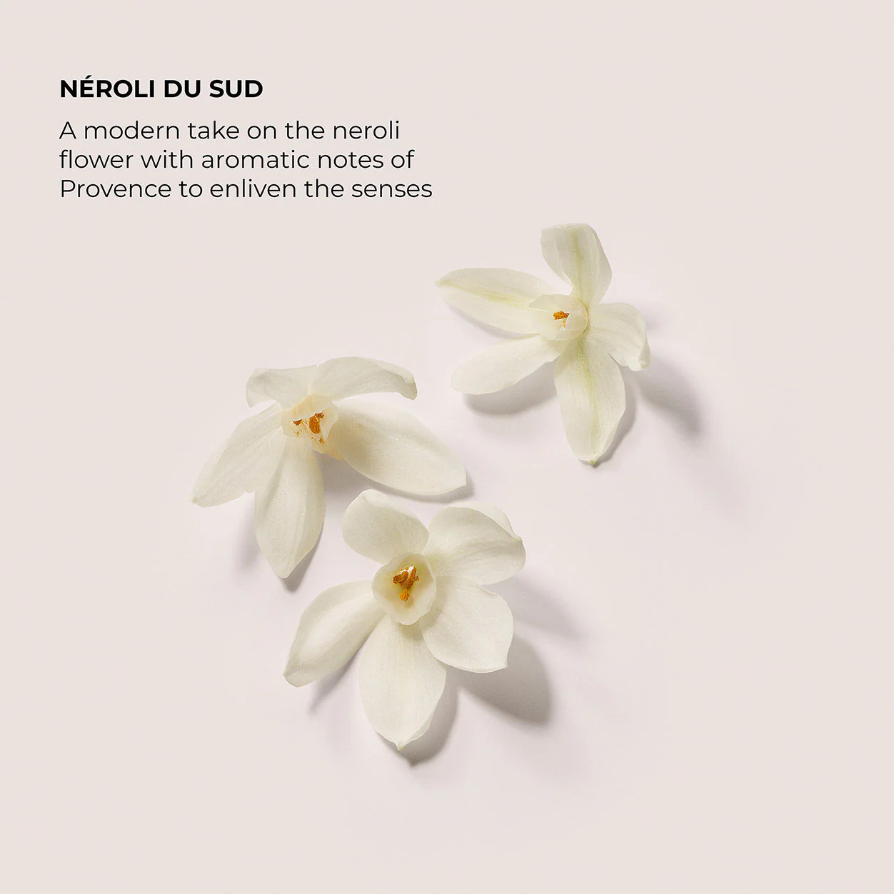 Néroli du Sud Serum Body Cream - Image 5