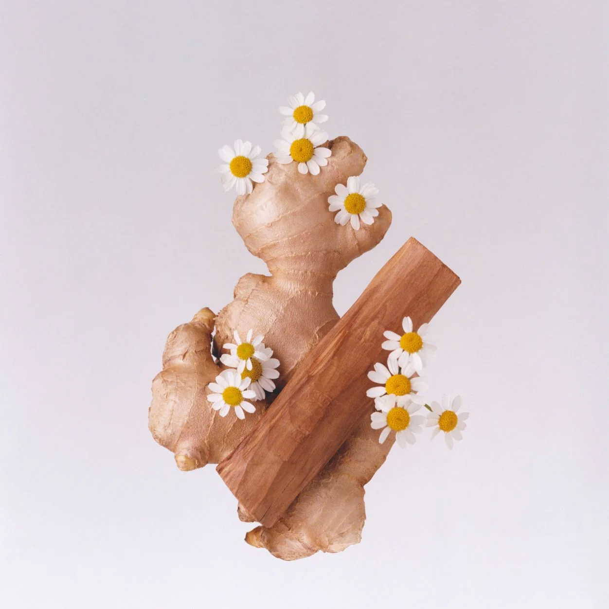 Tudor Eau De Parfum - Image 4