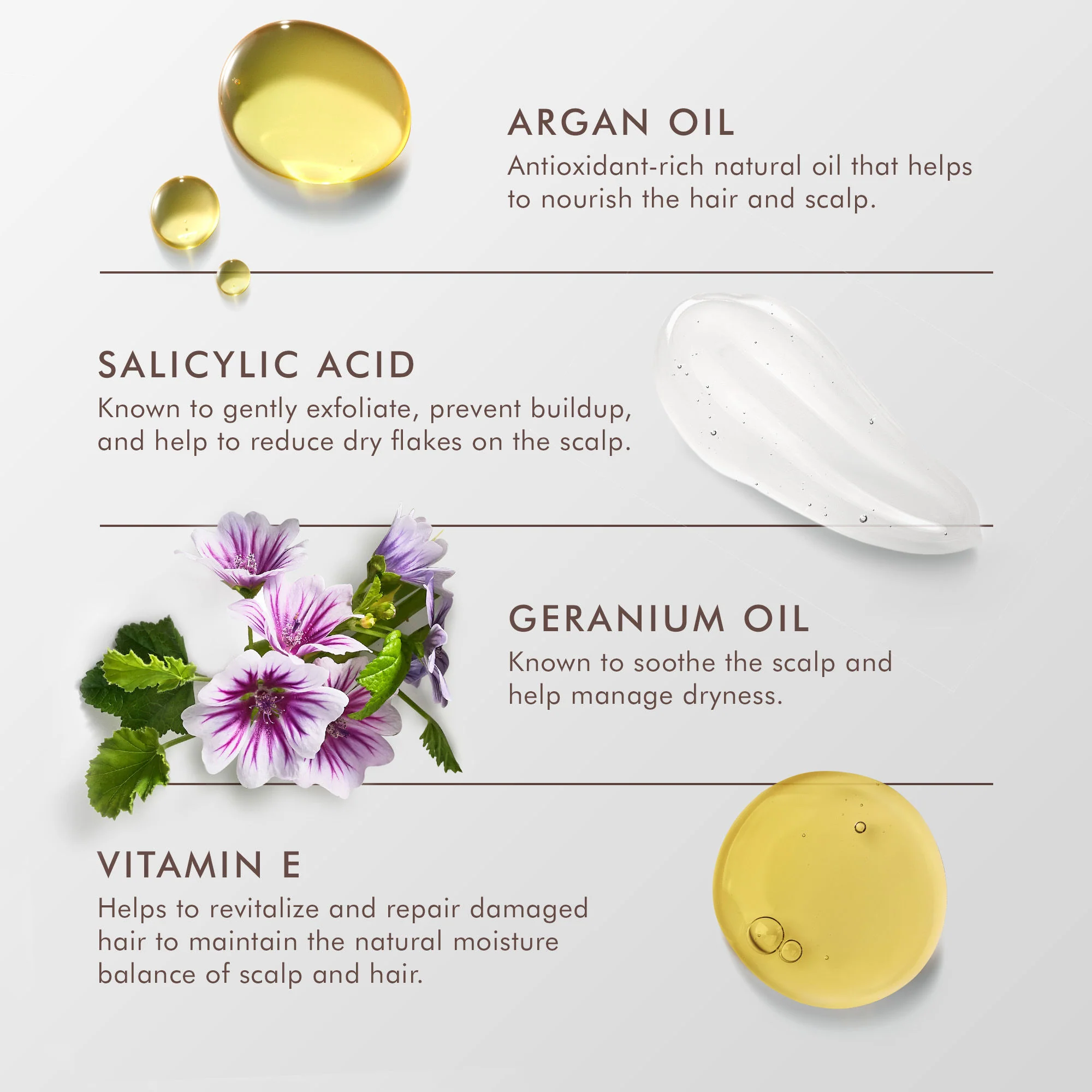 Dry Scalp Treatment - Image 4