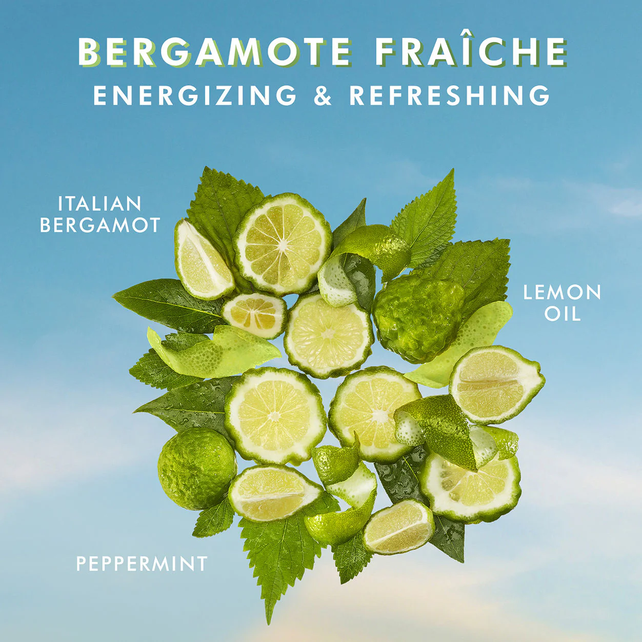 Hand Cream Bergamot Frache - Image 2
