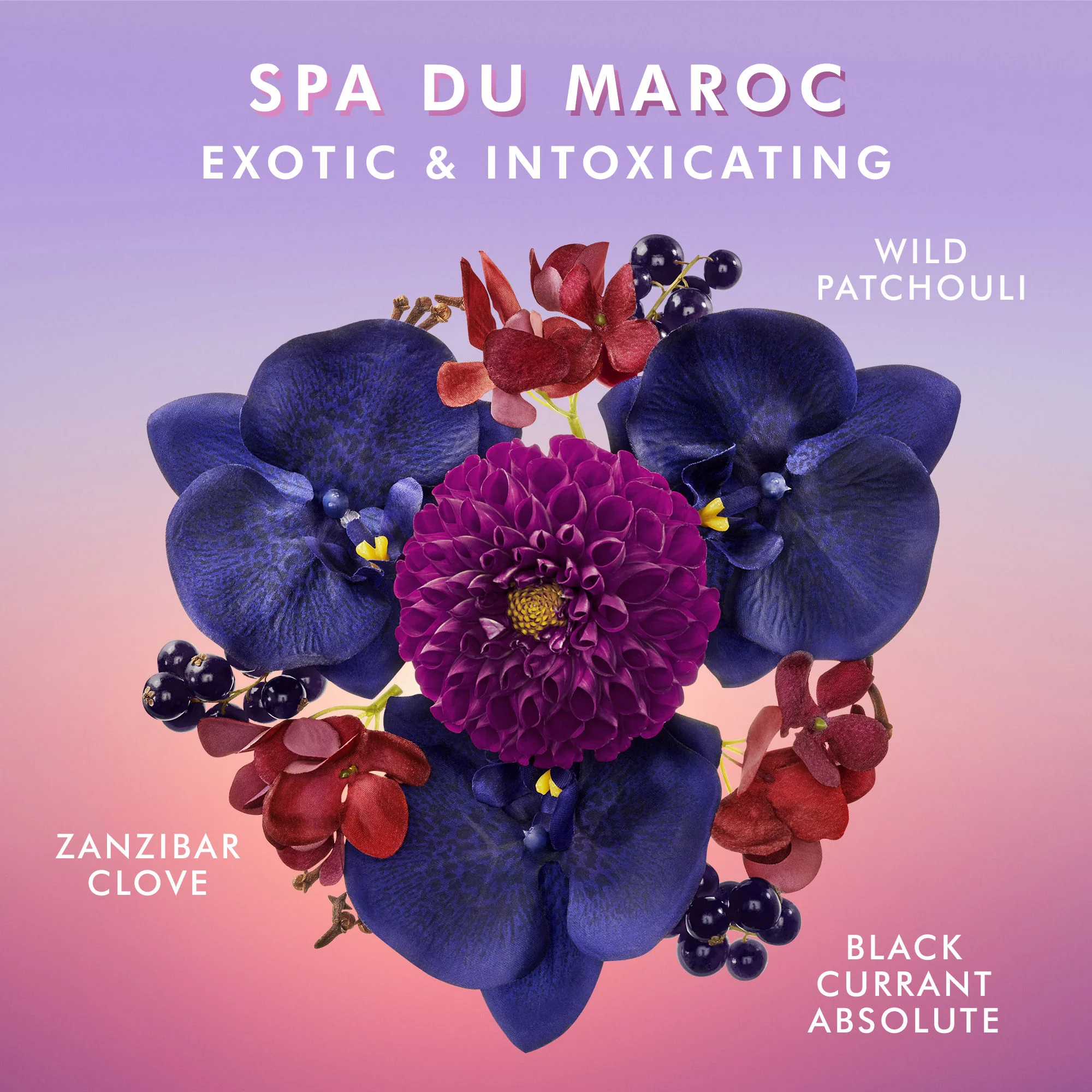 Hand Cream Spa du Maroc - Image 4