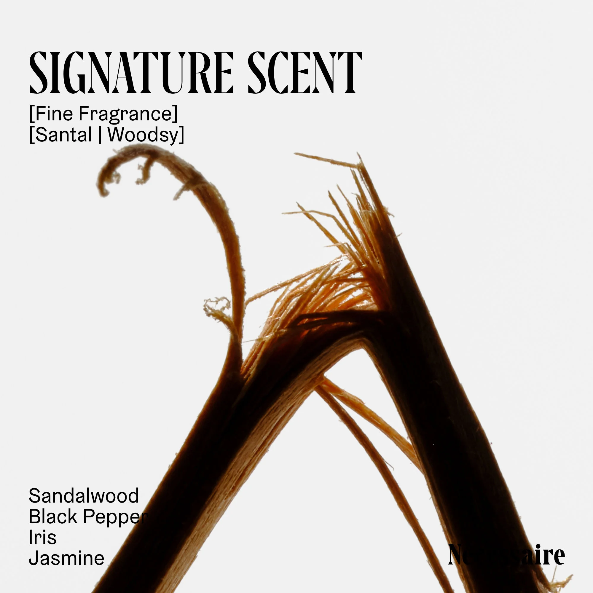 The Body Wash Santal - Image 5