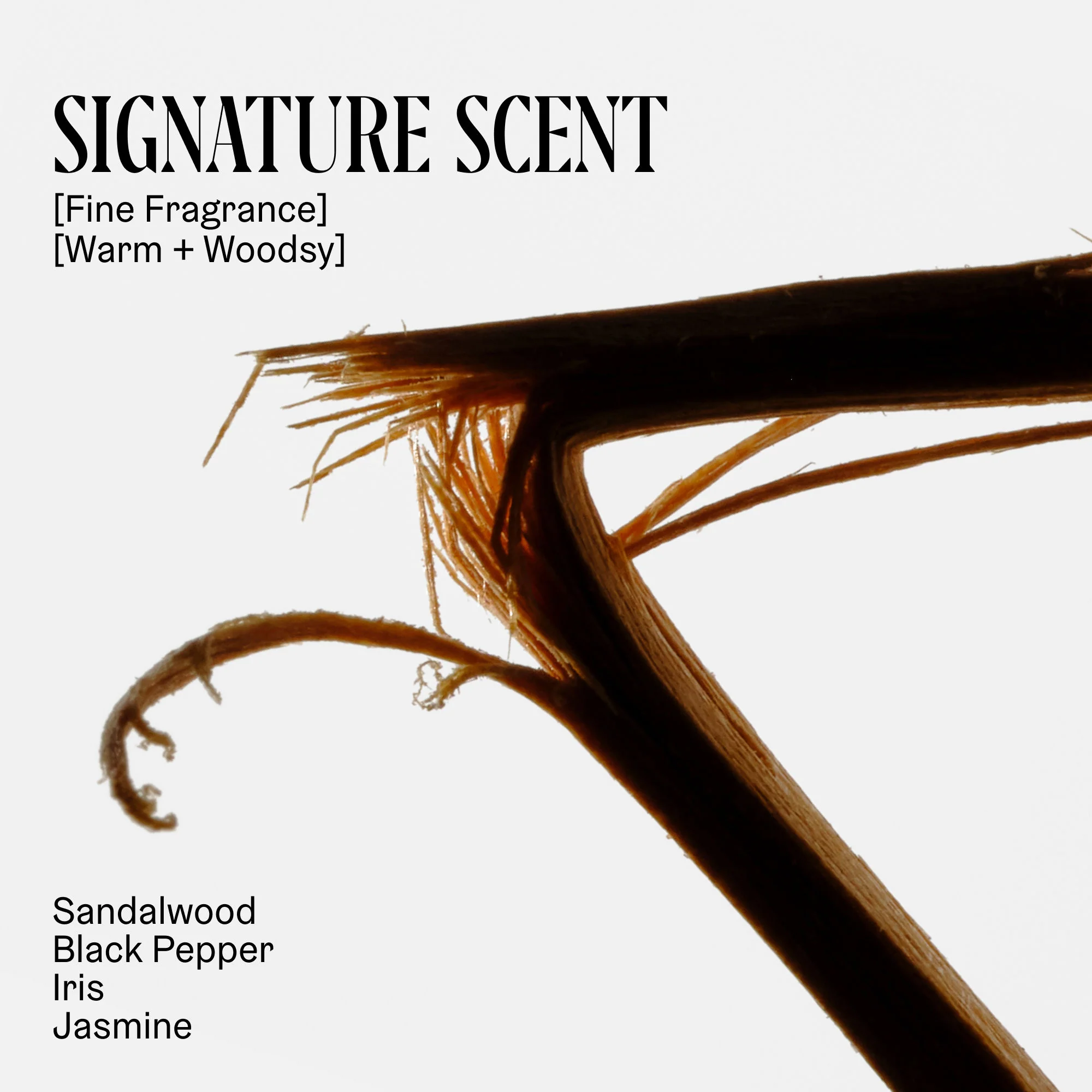 The Hand Wash Santal - Image 5