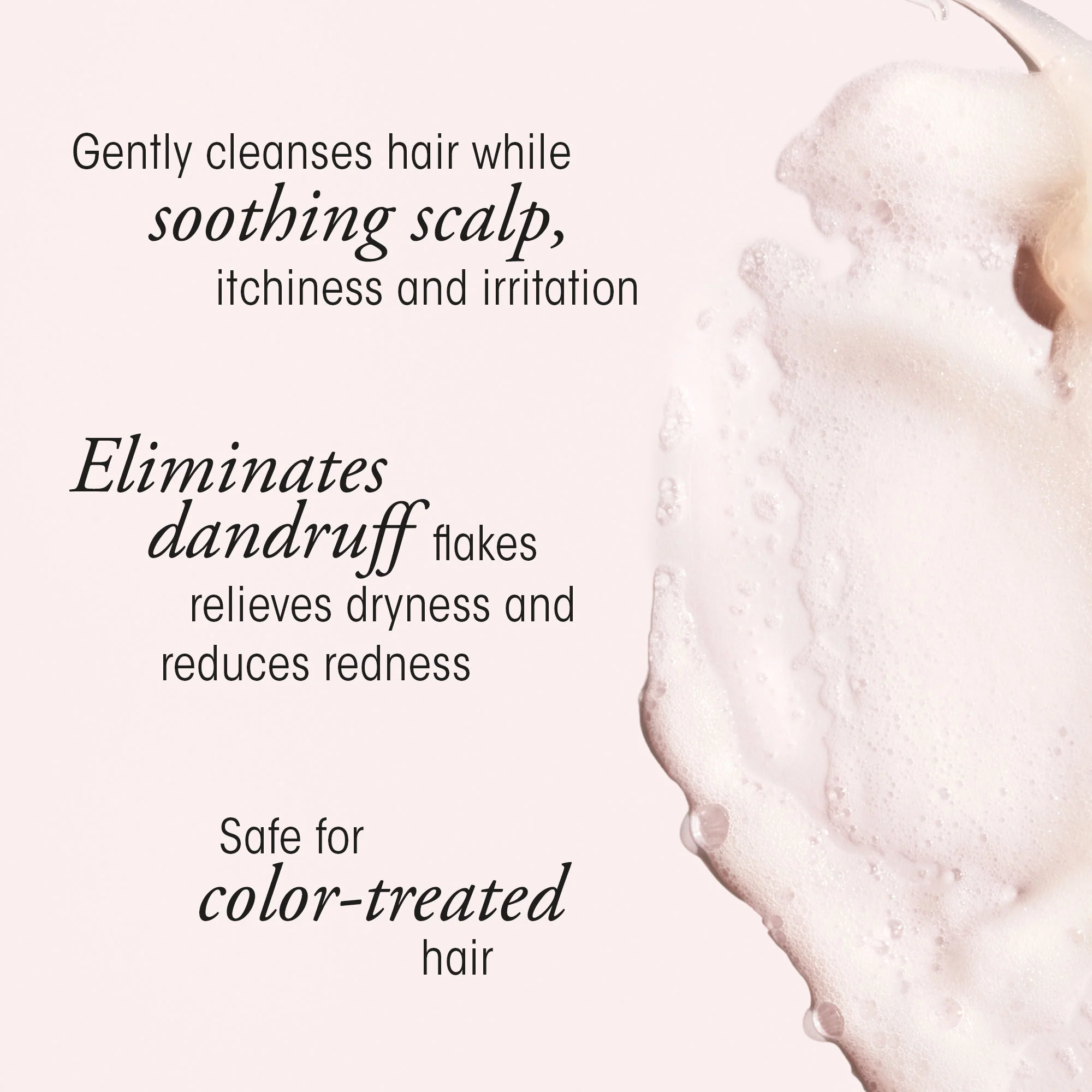 Serene Scalp Anti-Dandruff Shampoo - Image 3