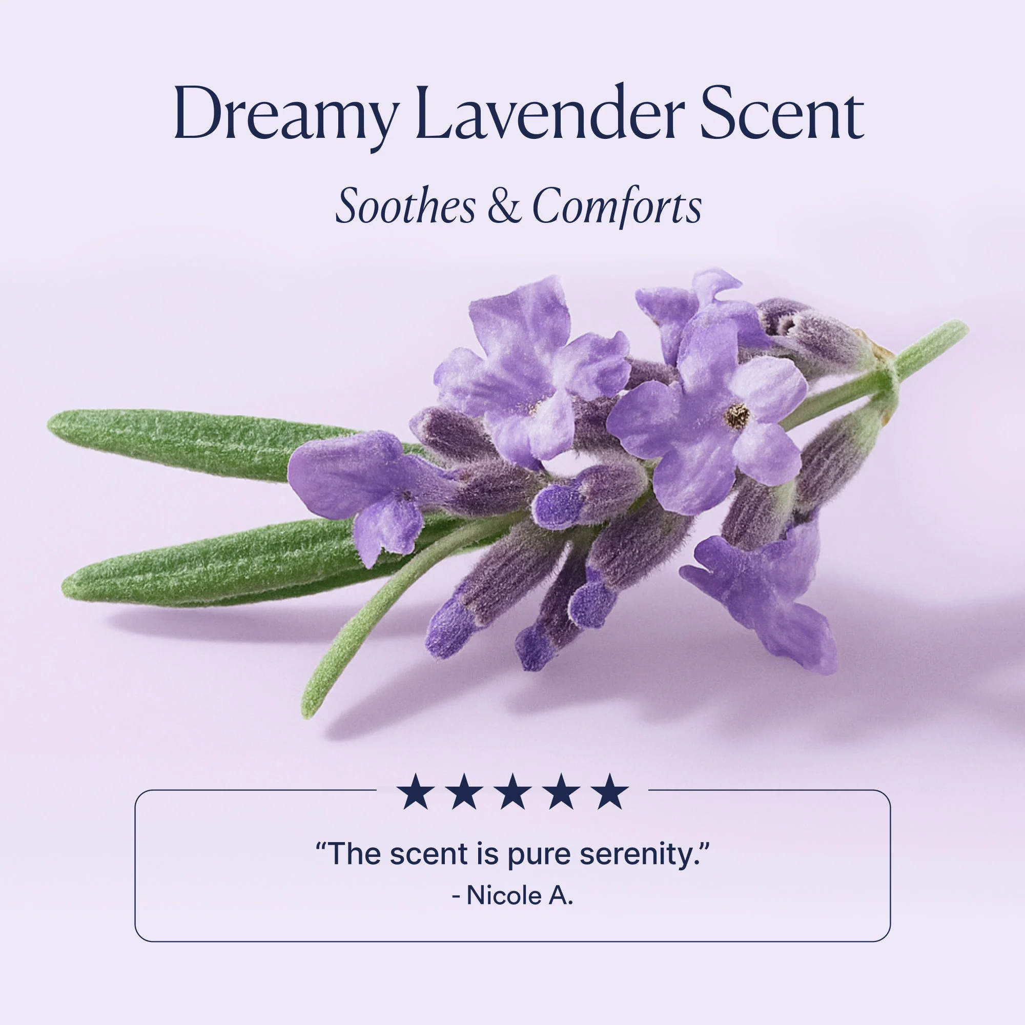 Dream Bio-Retinol Body Serum - Image 7