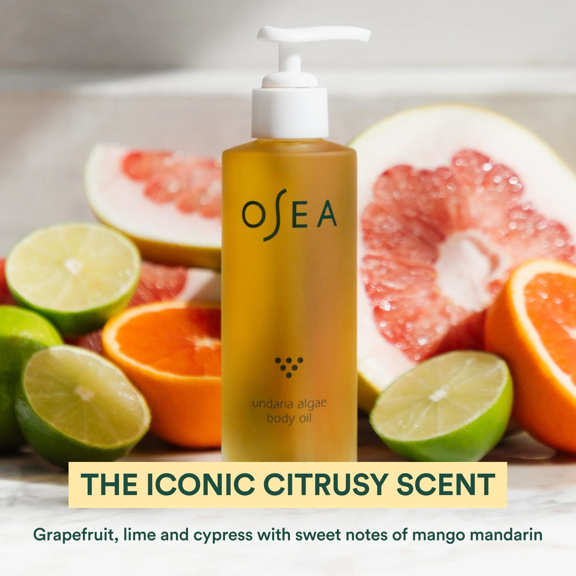 Undaria Algae Body Oil - Image 12
