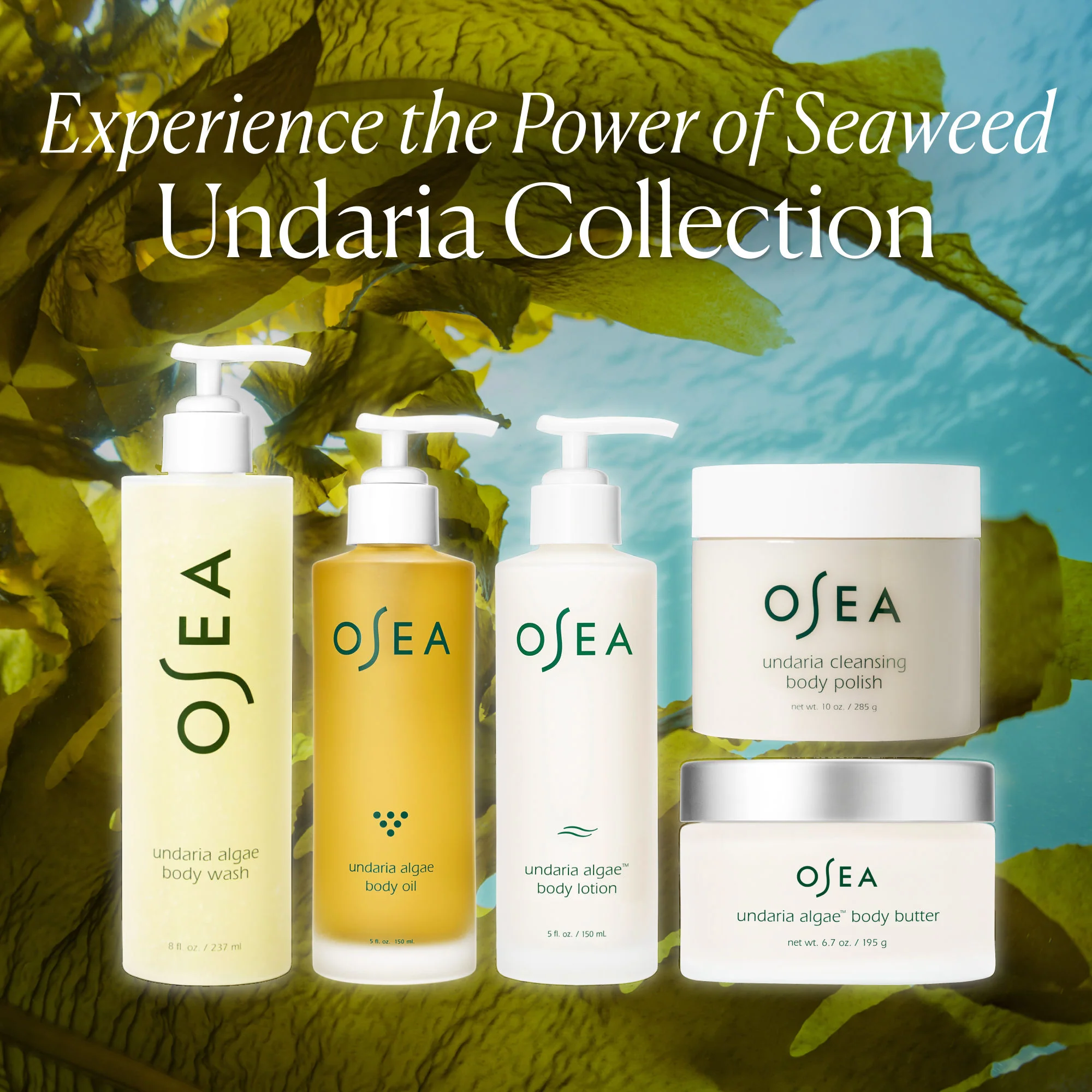 Undaria Algae Body Wash - Image 10