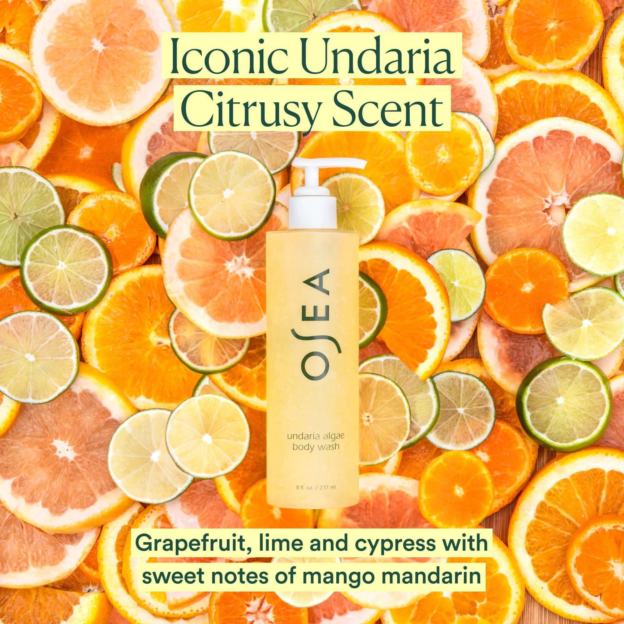 Undaria Algae Body Wash - Image 9