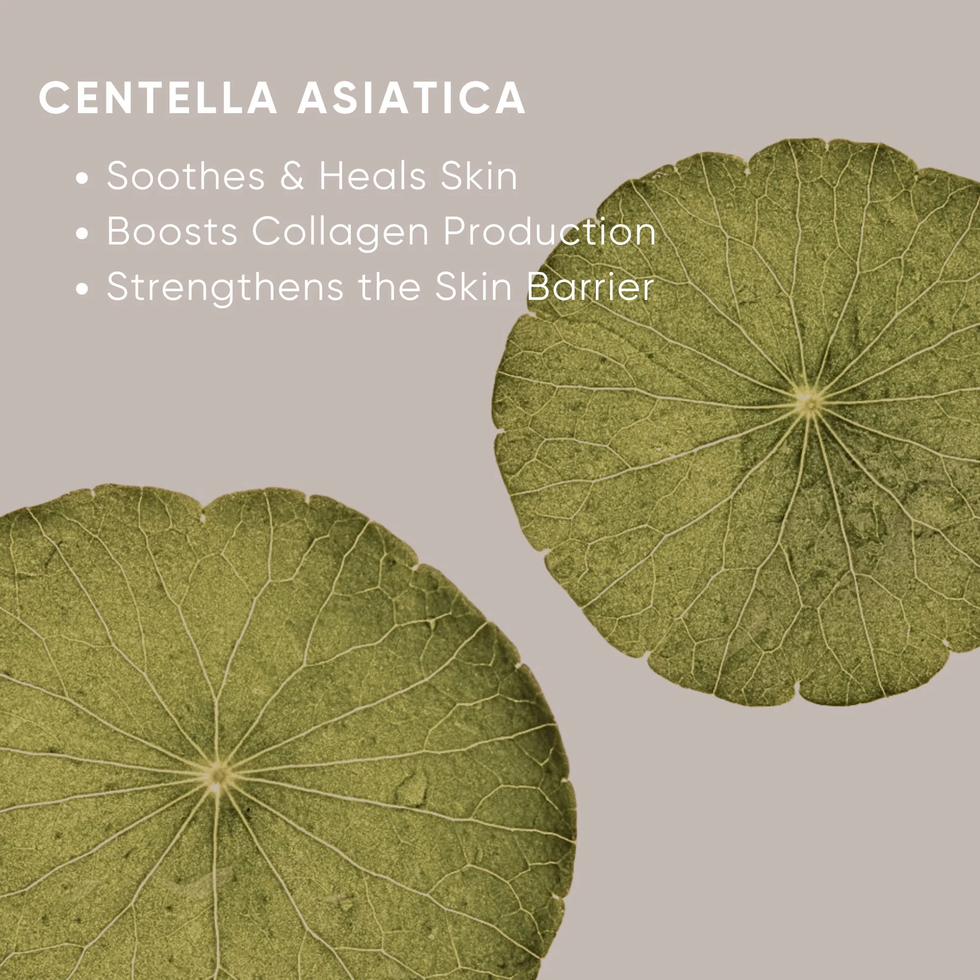 Hydrating Moisturizer - Image 10