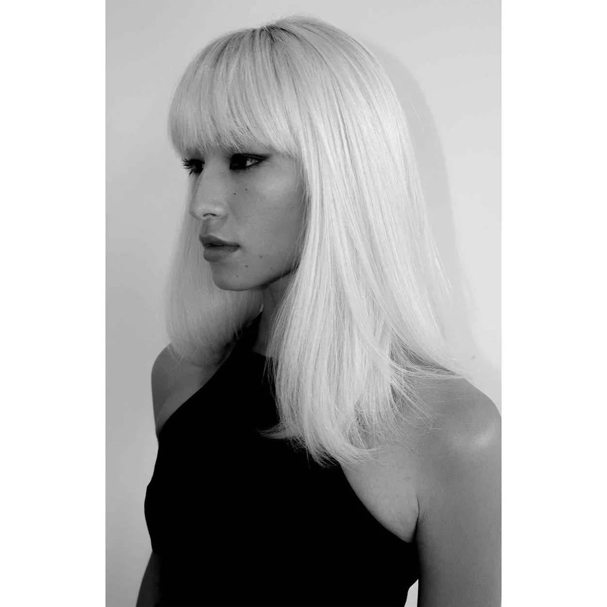 Skyline Dry Shampoo Powder - Image 2