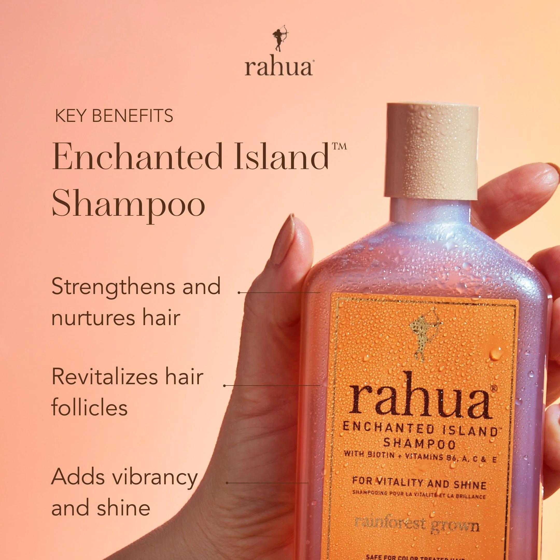 Enchanted Island Shampoo - Image 6
