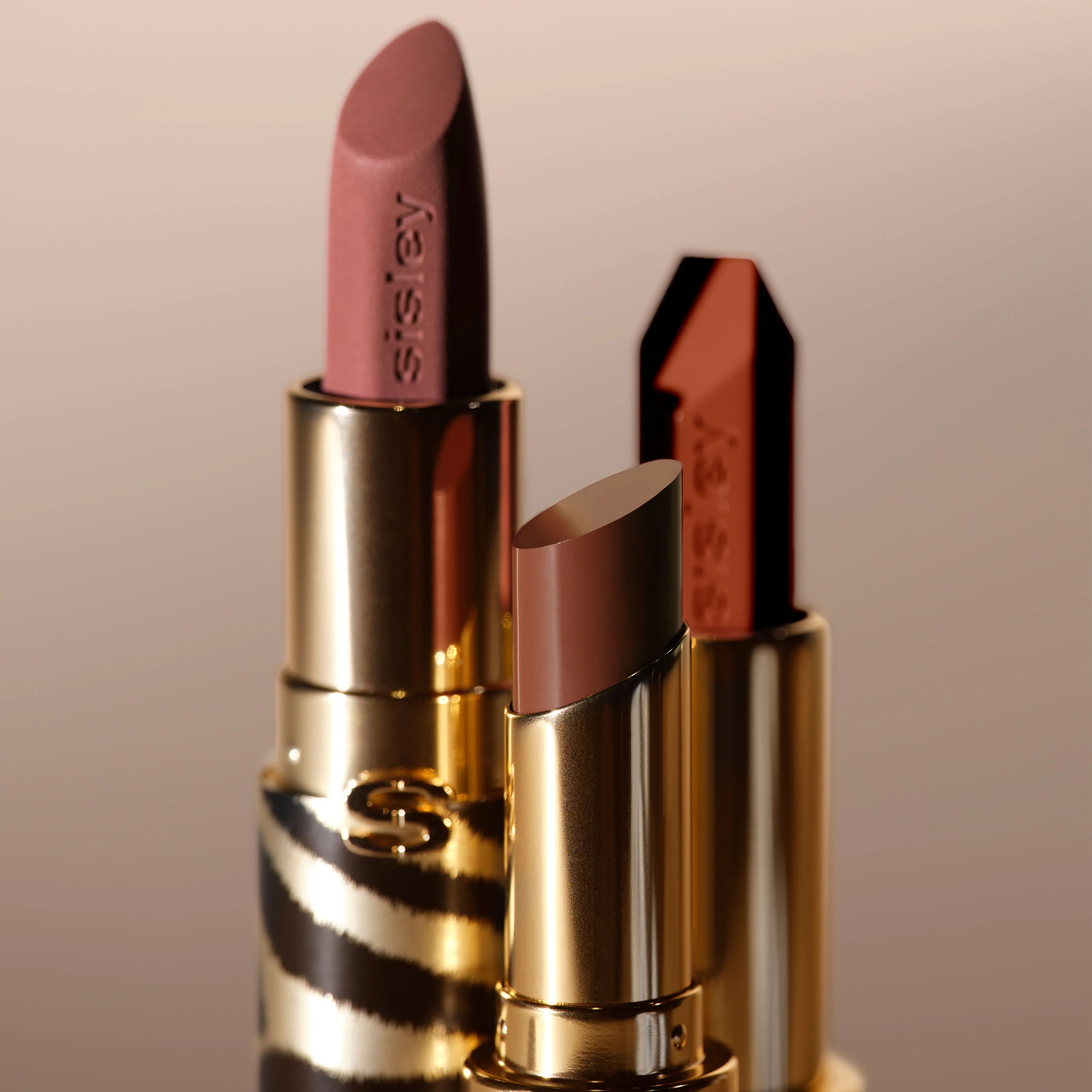 Phyto-Rouge Shine - Image 65