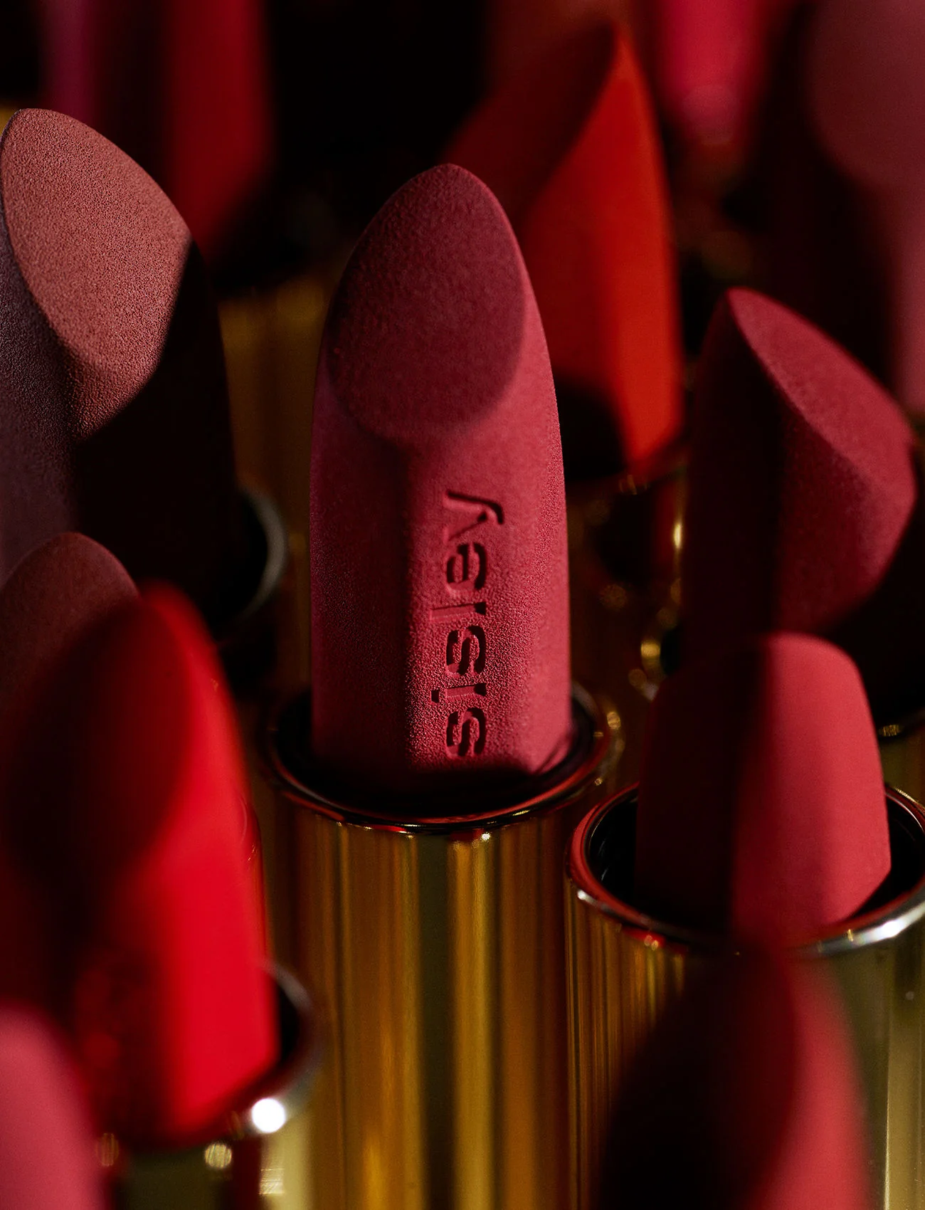 Phyto-Rouge Velvet - Image 41