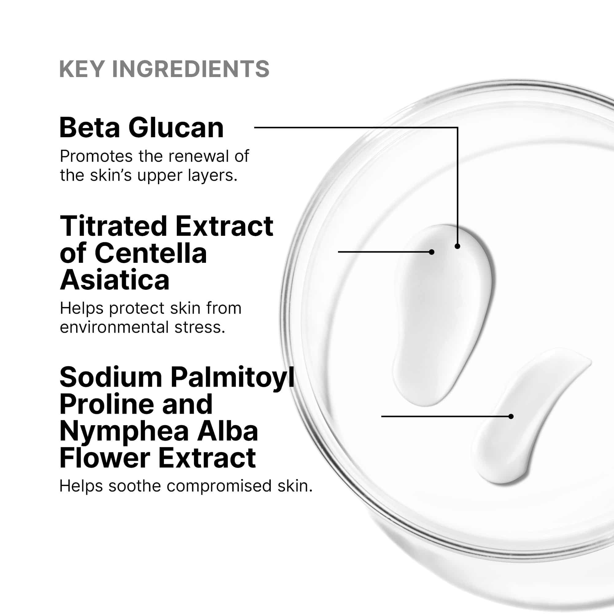 Epidermal Repair - Image 4