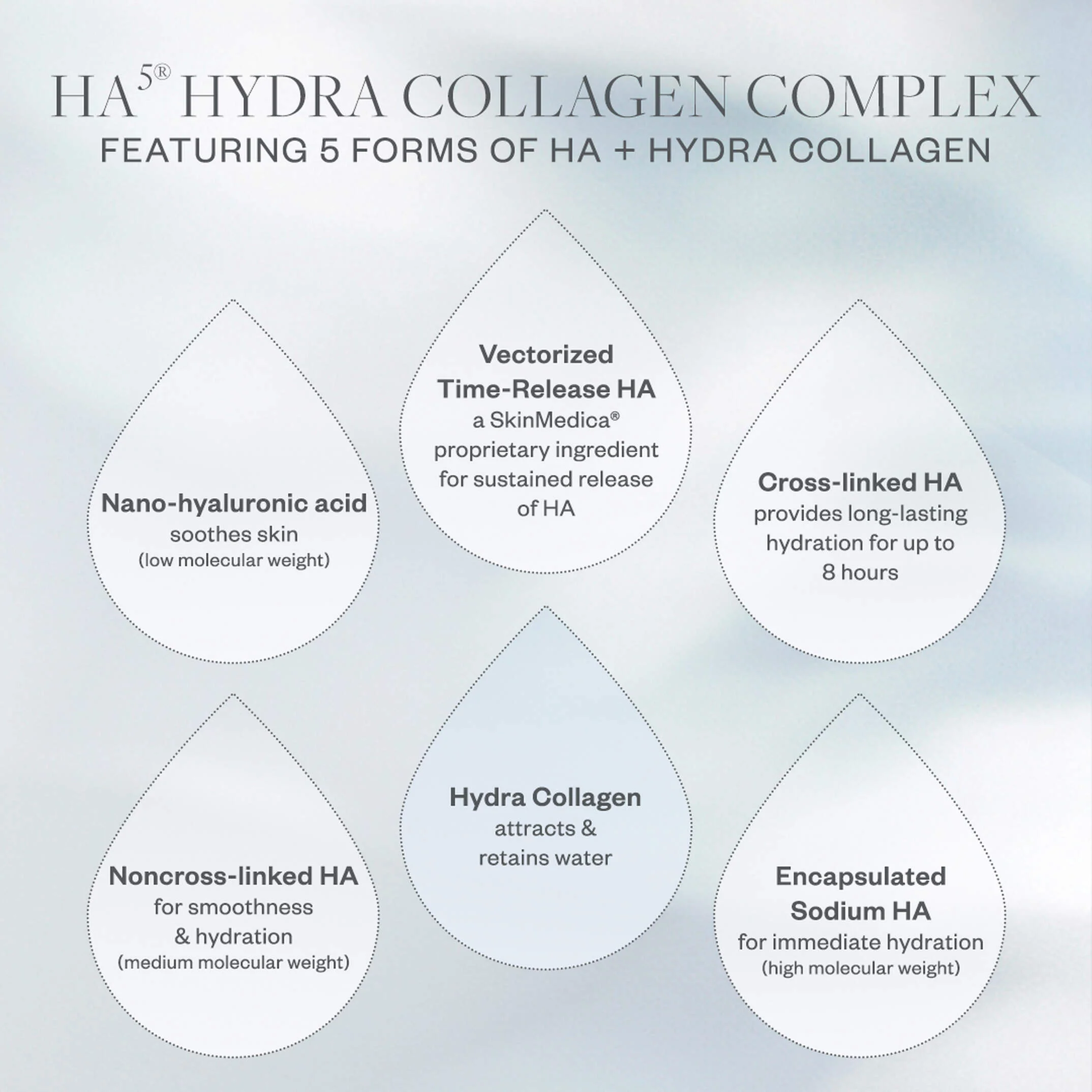 HA⁵ Hydra Collagen Hydrator with Vegan Collagen - Image 14