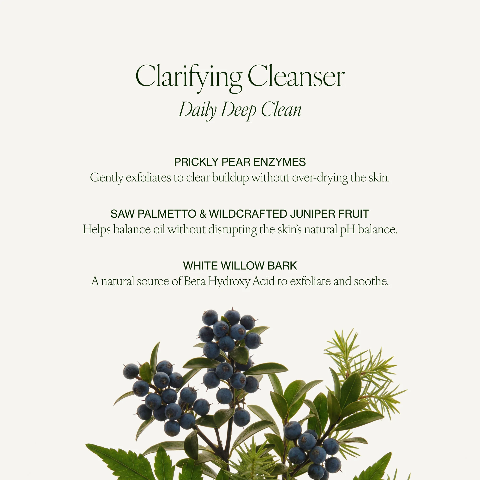 Clarifying Cleanser - Image 6