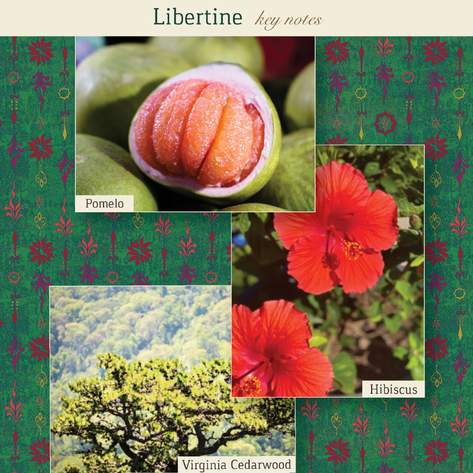 Libertine Eau de Parfum - Image 7