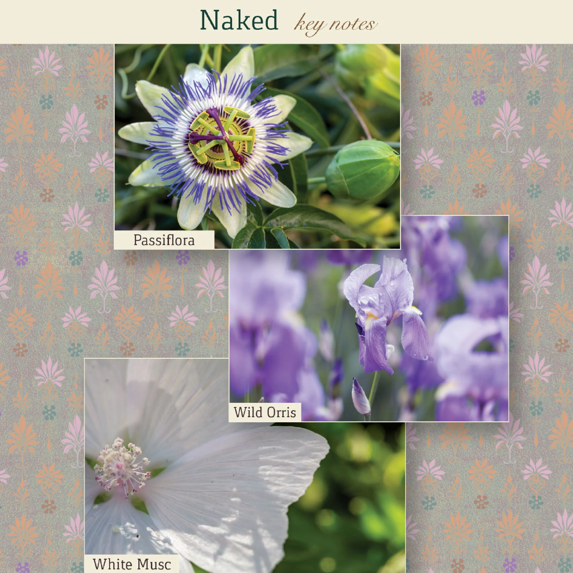Naked Eau de Parfum - Image 7