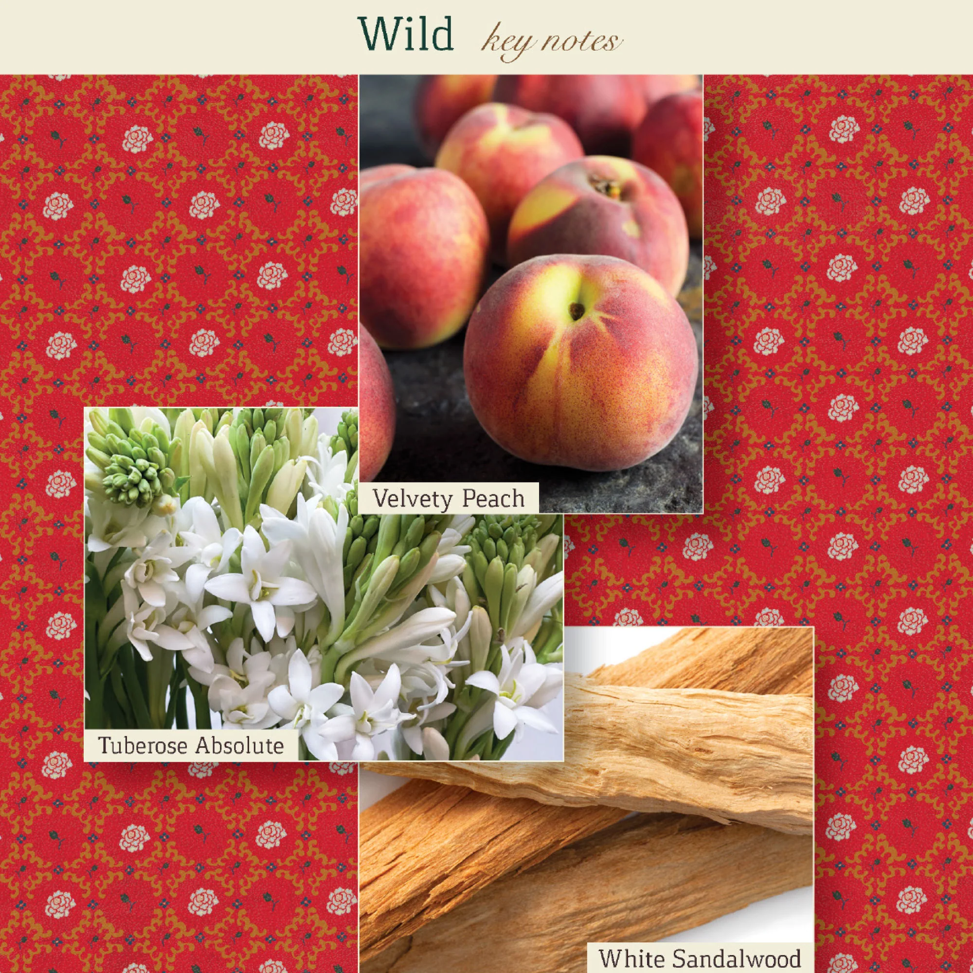 Wild Eau de Parfum - Image 7