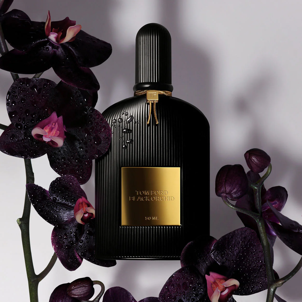 Black Orchid Eau de Parfum - Image 4