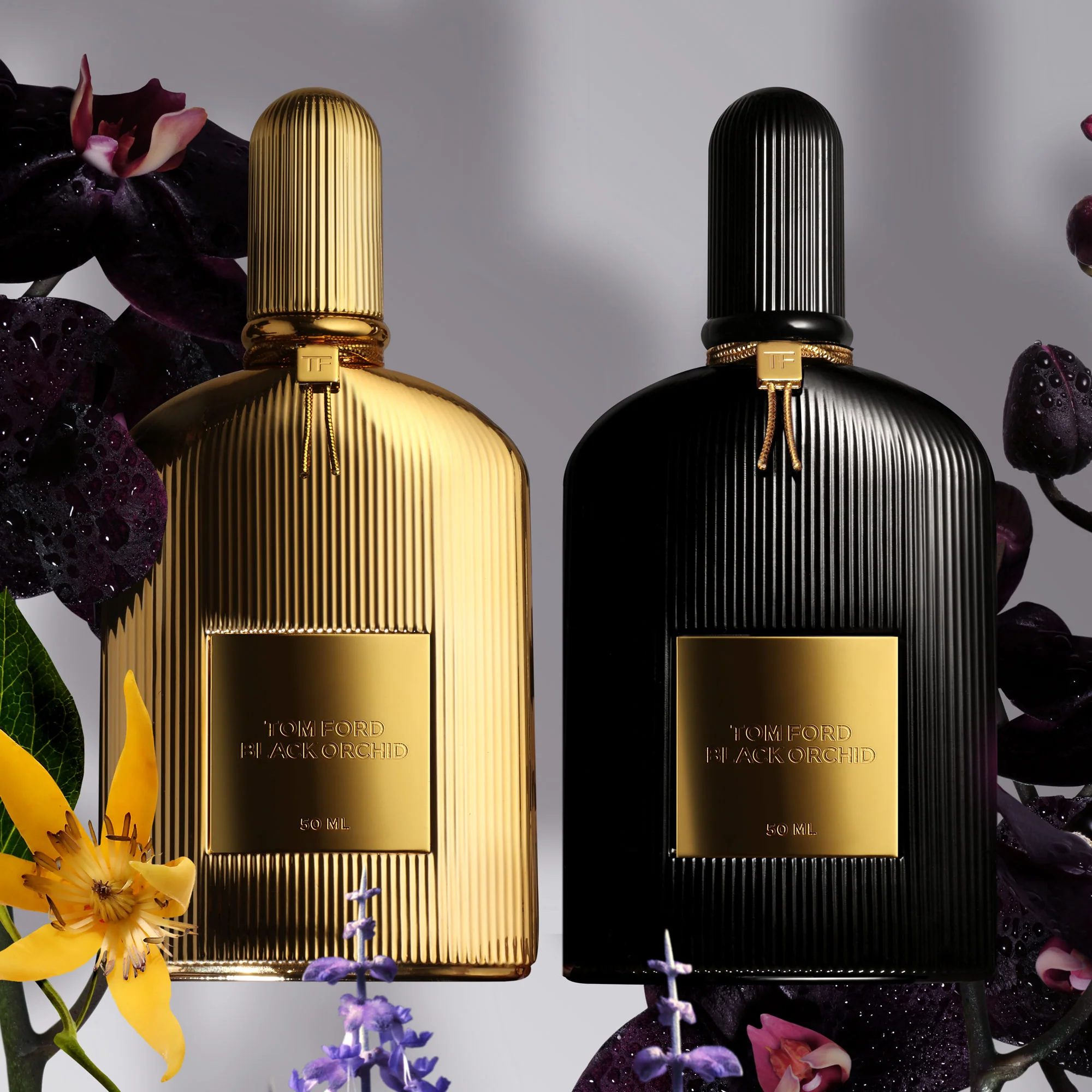 Black Orchid Parfum - Image 3